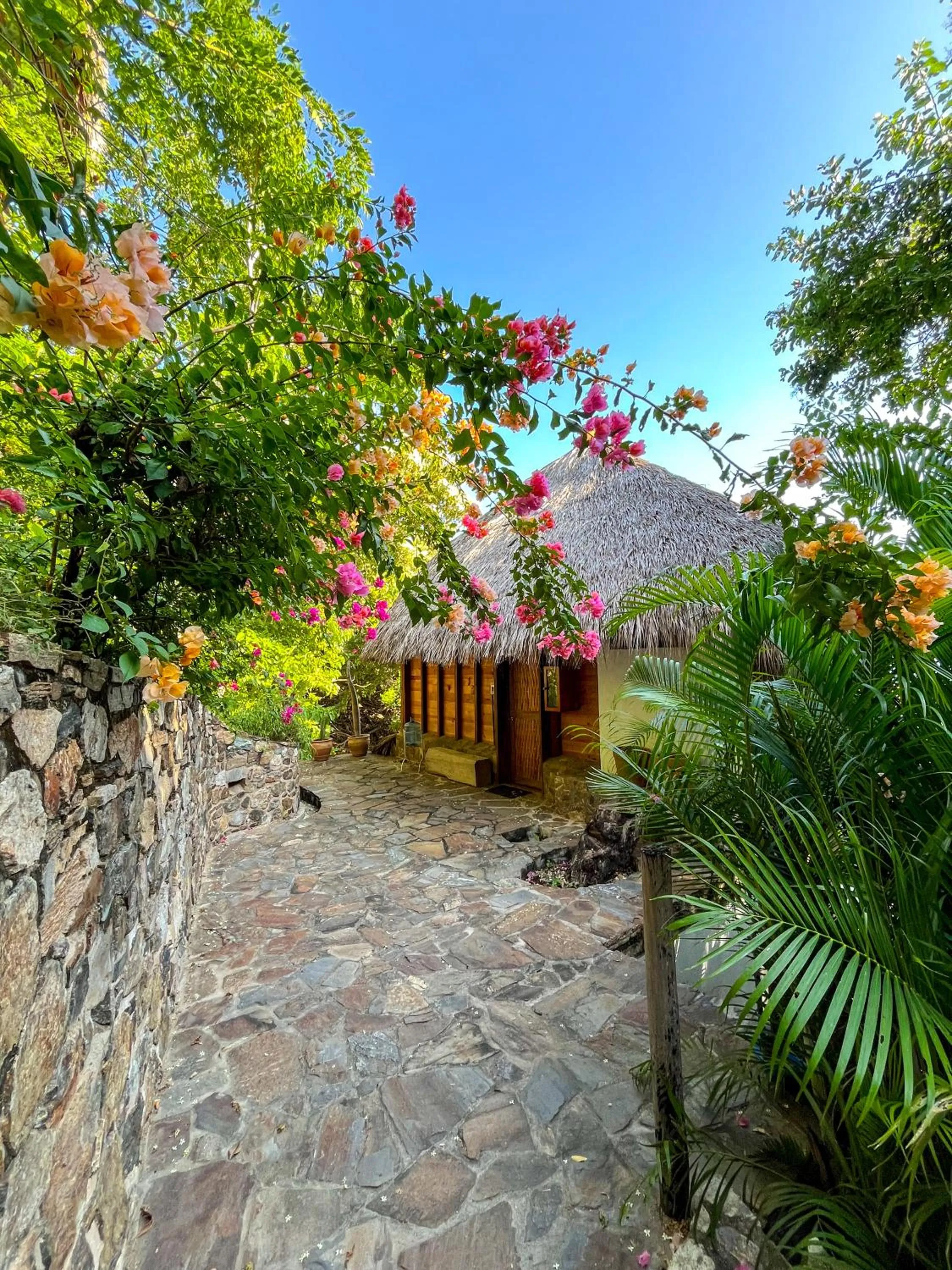 Garden view in Zazil Retreat