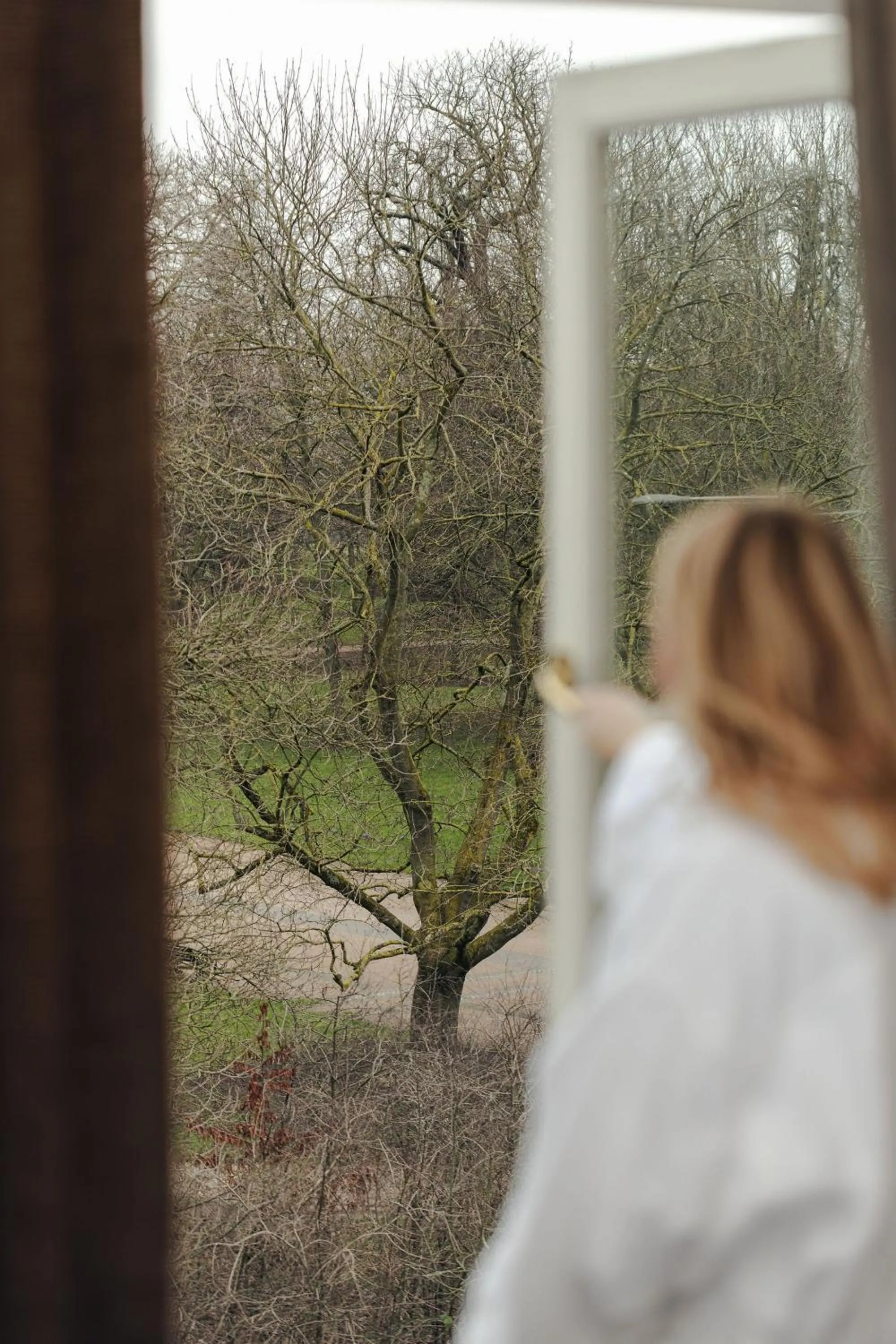 View (from property/room) in 60 Hyde Park Gate Hotel