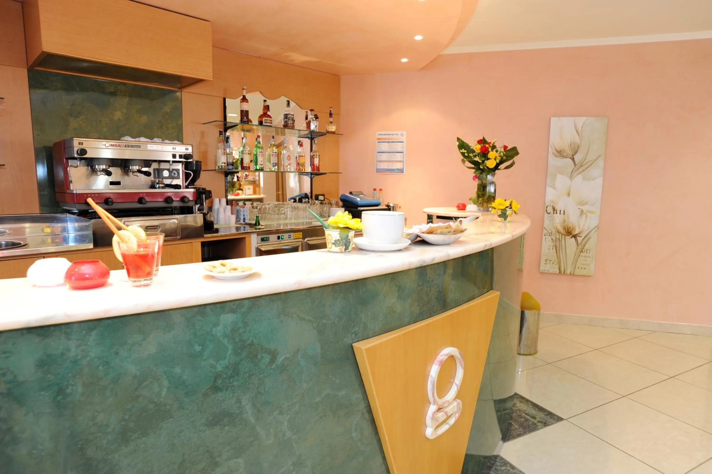 Area and facilities in Hotel Garden