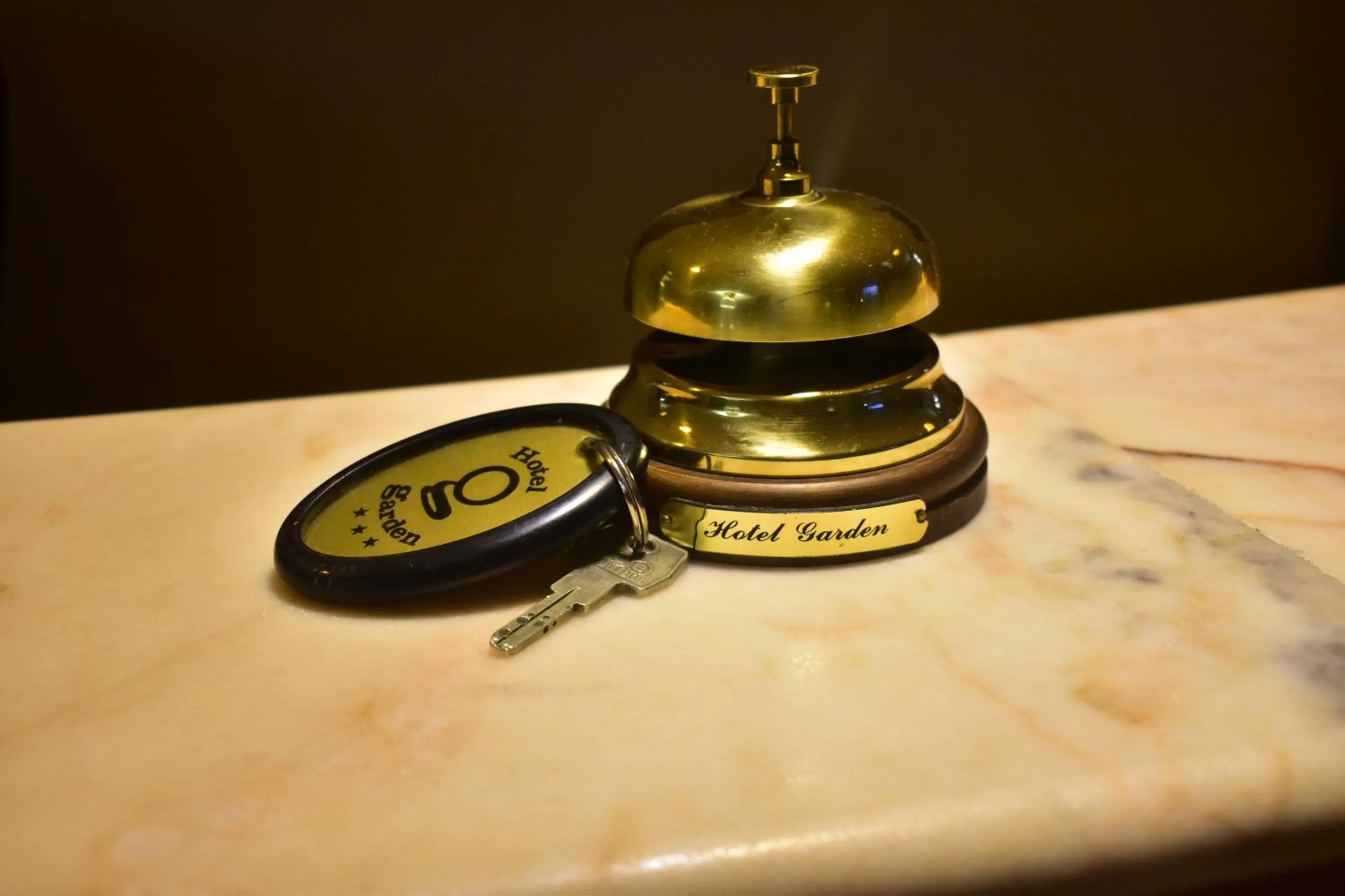 Lobby or reception in Hotel Garden