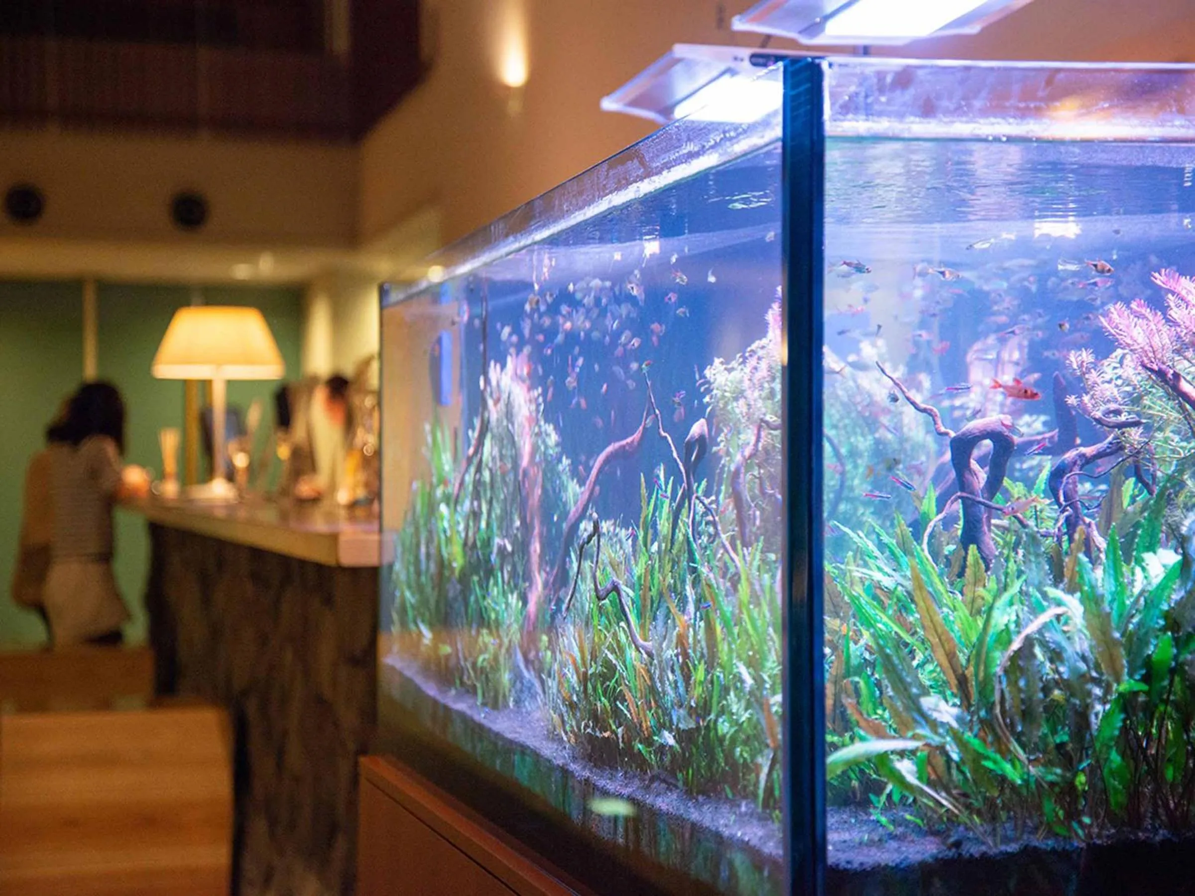 Lobby or reception in Hotel Lodge Maishima