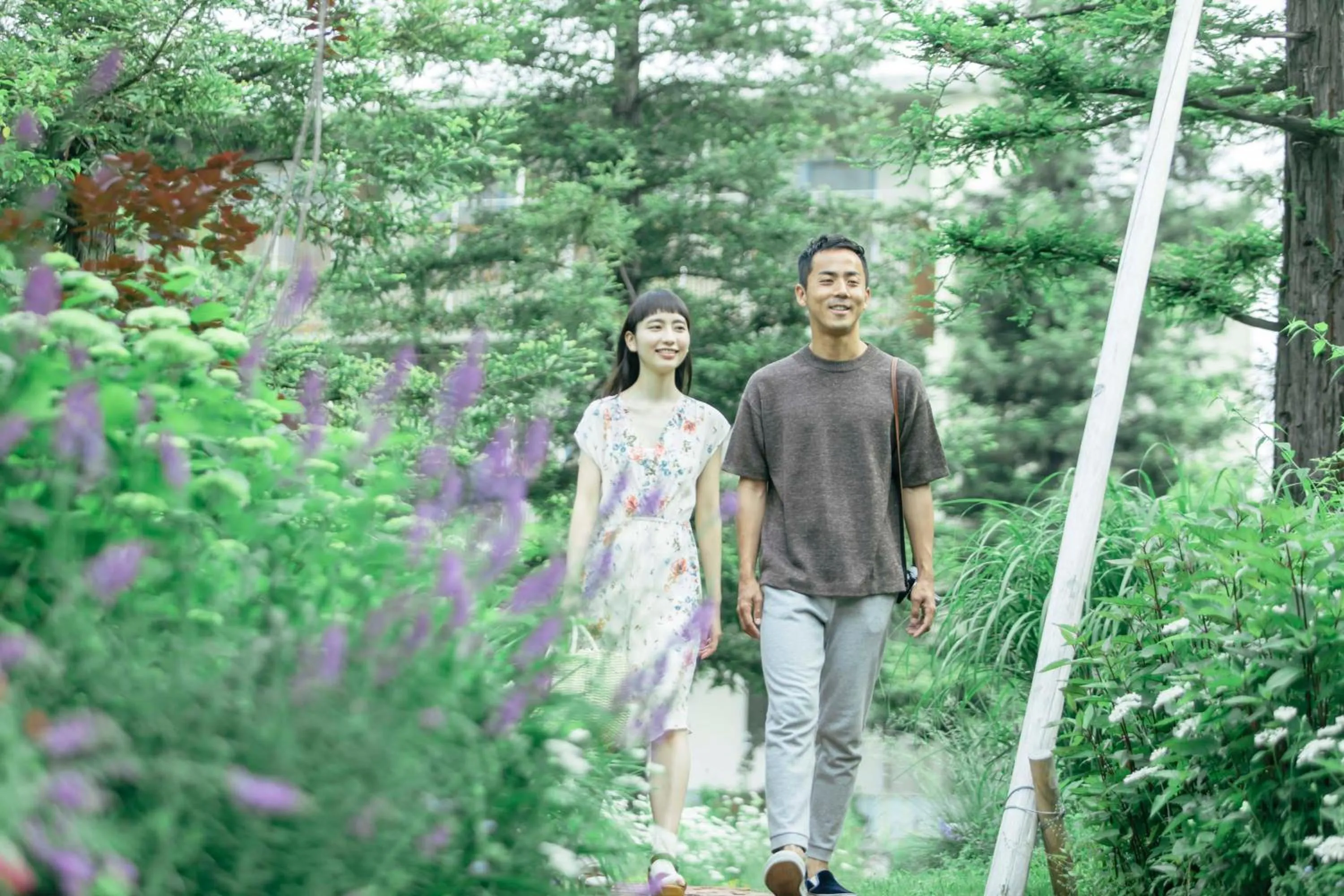 Summer in Hotel Lodge Maishima