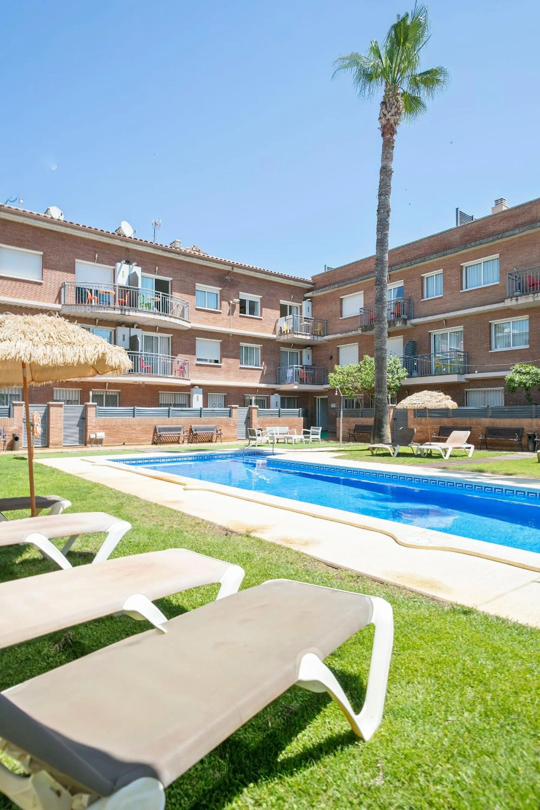 Garden in Apartamentos Velor