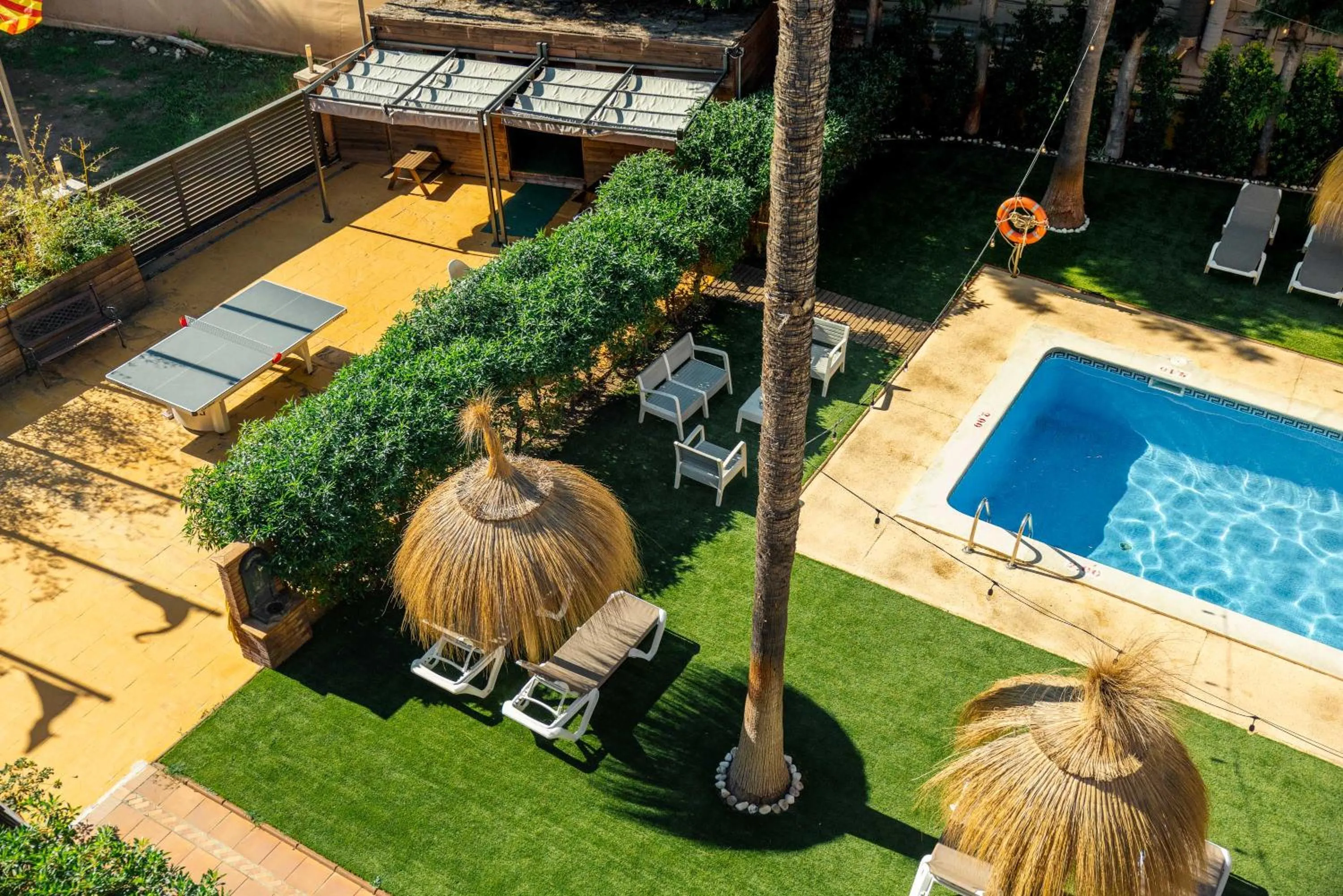 Area and facilities in Apartamentos Velor