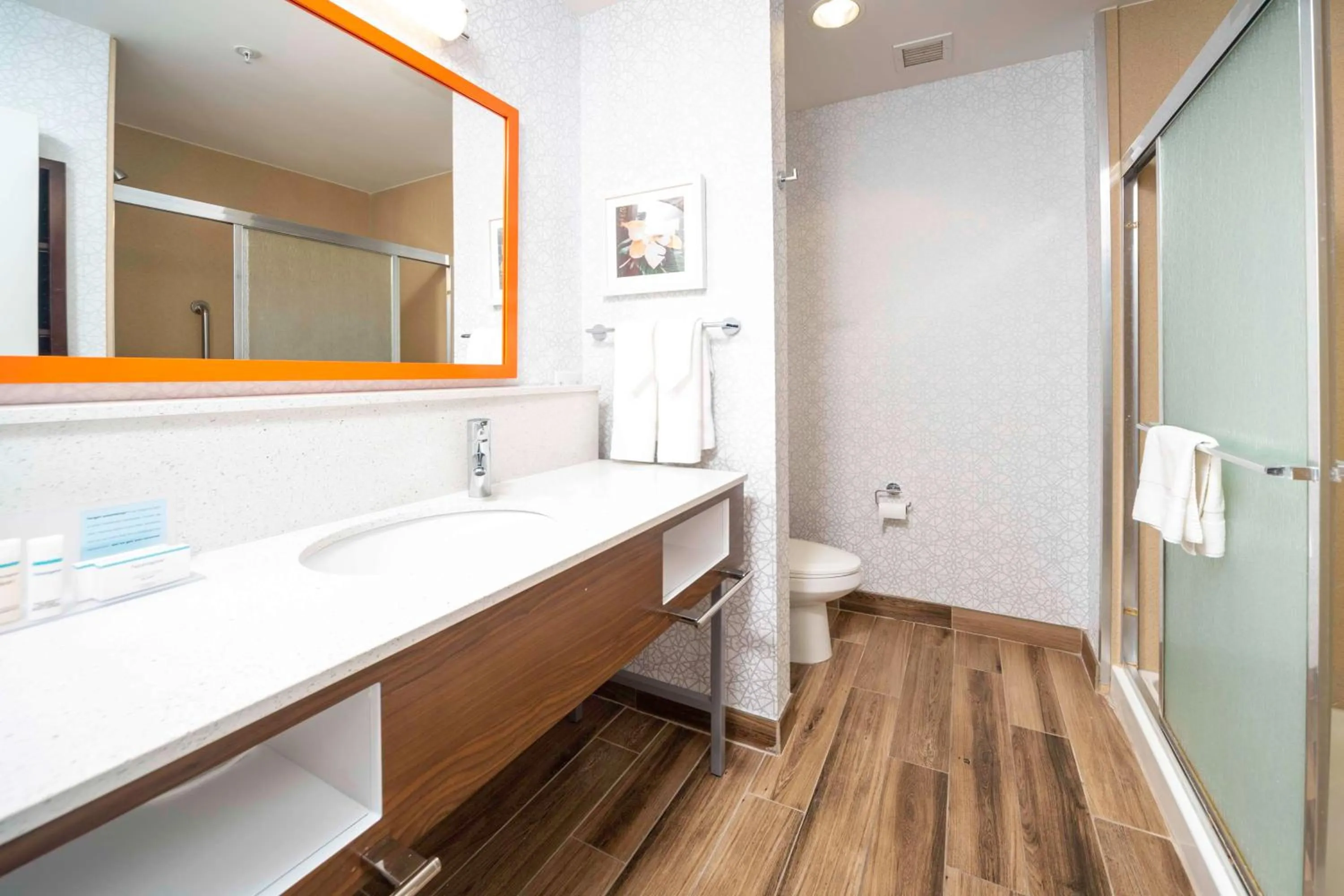 Bathroom in Hampton Inn and Suites New Iberia