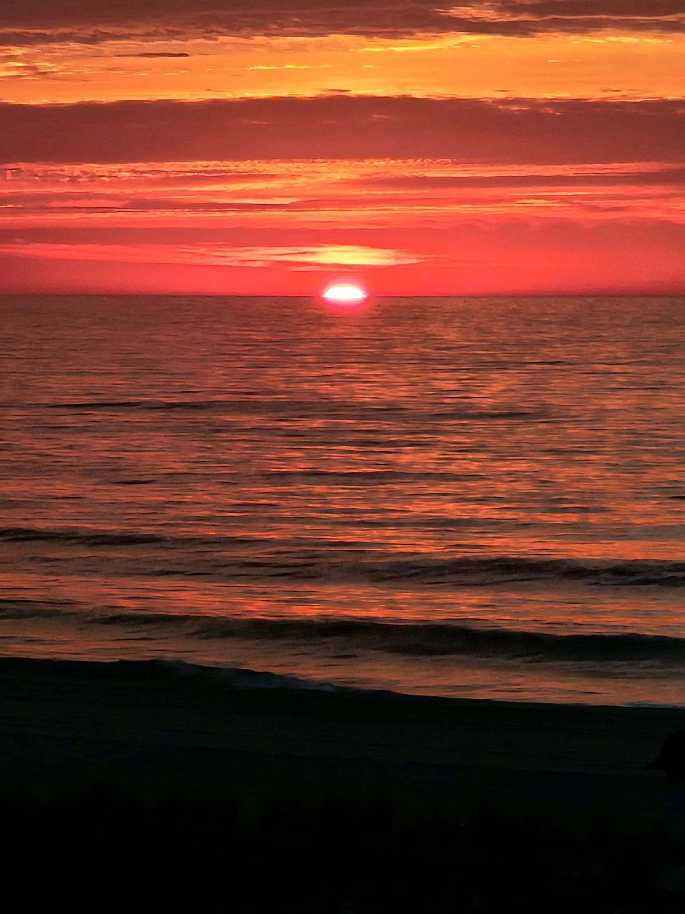 Balcony/Terrace in Boardwalk Hotel Charlee & Apartments Beach Hotel Oceanfront
