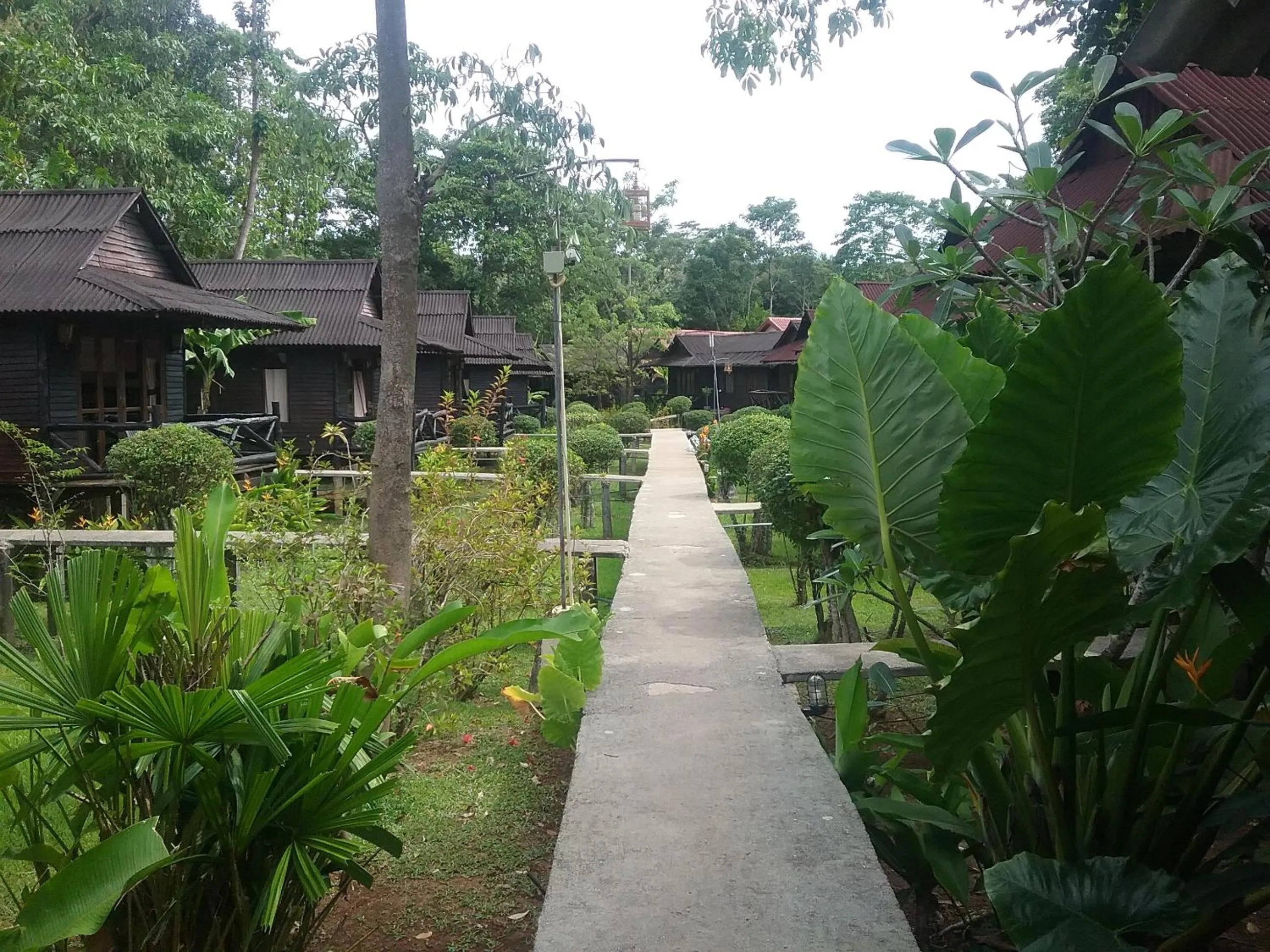 View (from property/room) in Mook Lanta Eco Resort