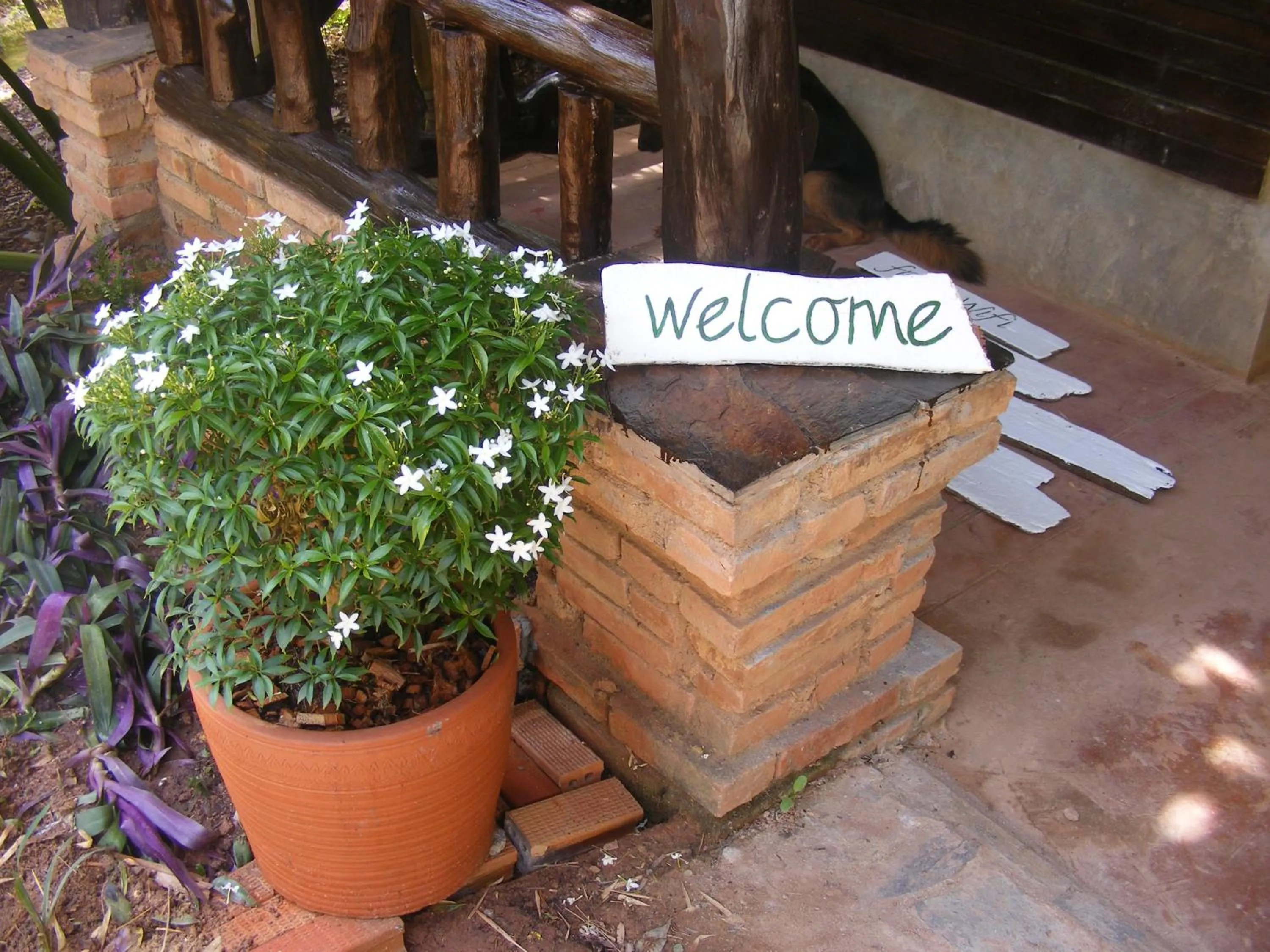 Garden in Mook Lanta Eco Resort