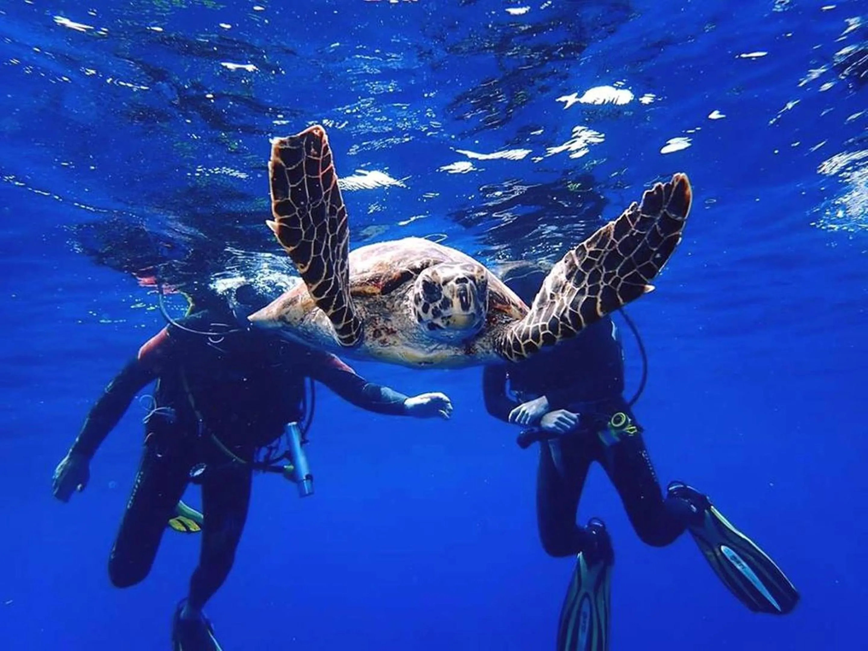 Other in Sun Siyam Vilu Reef with Free Transfer