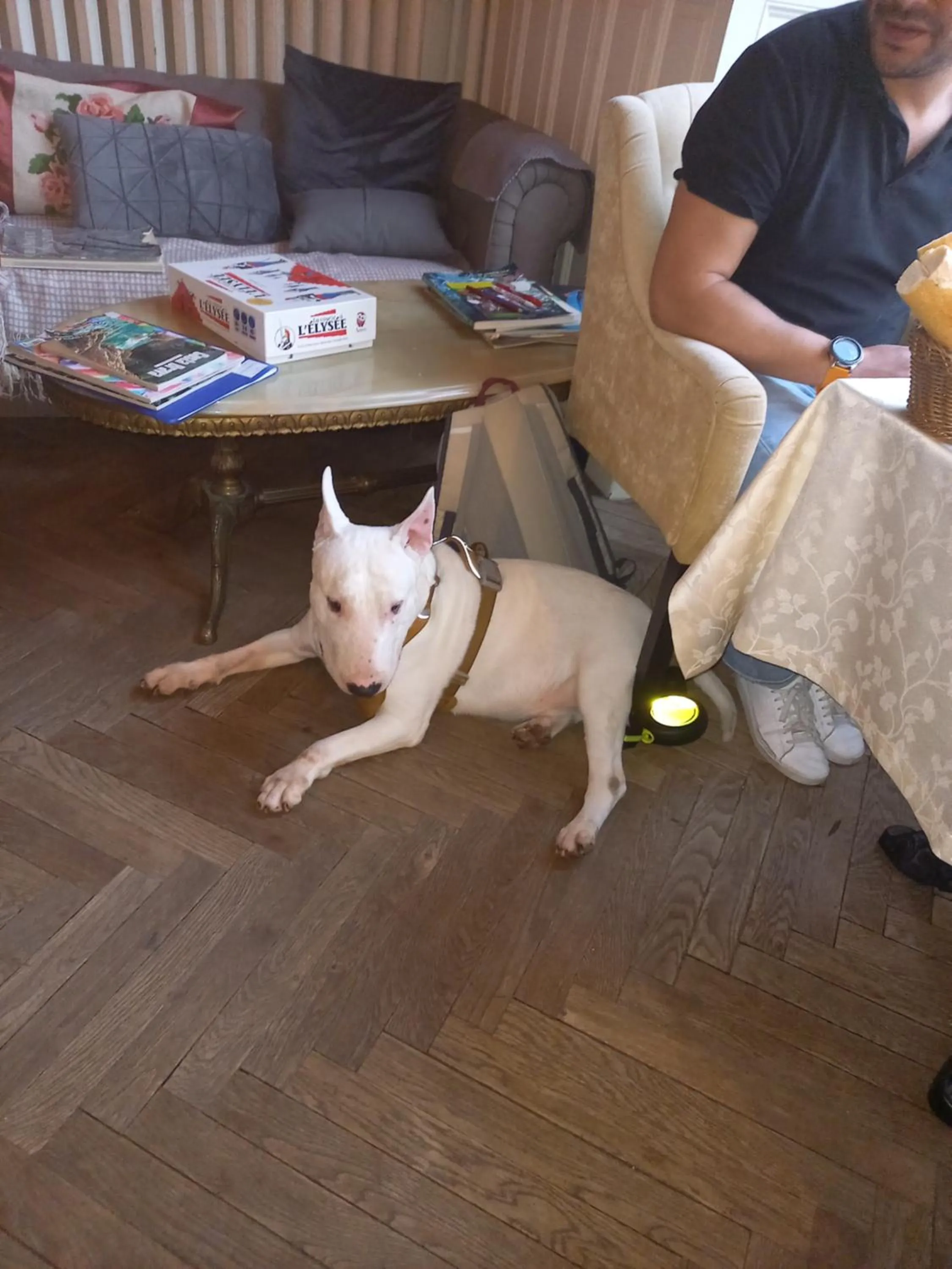 Le Belvedere des Remparts