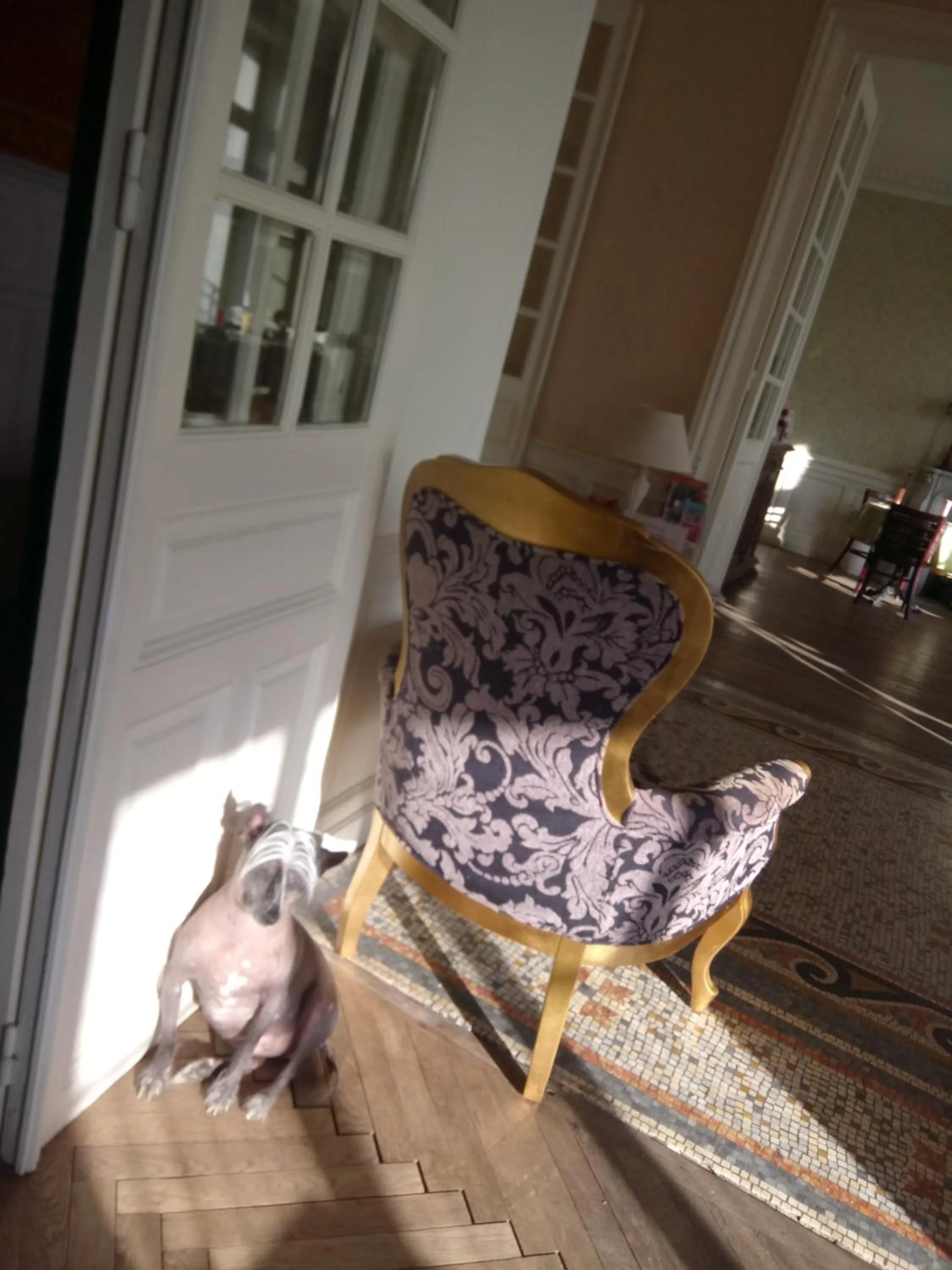 Le Belvedere des Remparts