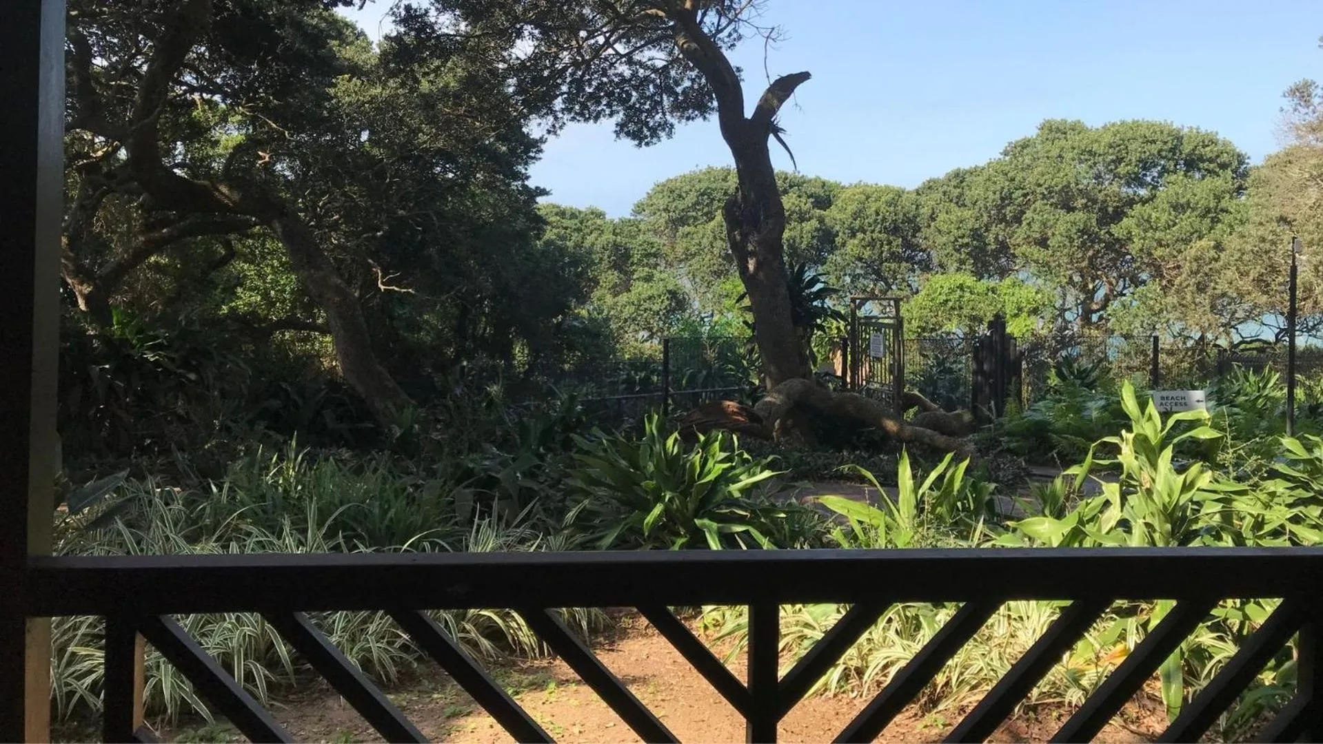 Garden in ANEW Hotel Ocean Reef Zinkwazi