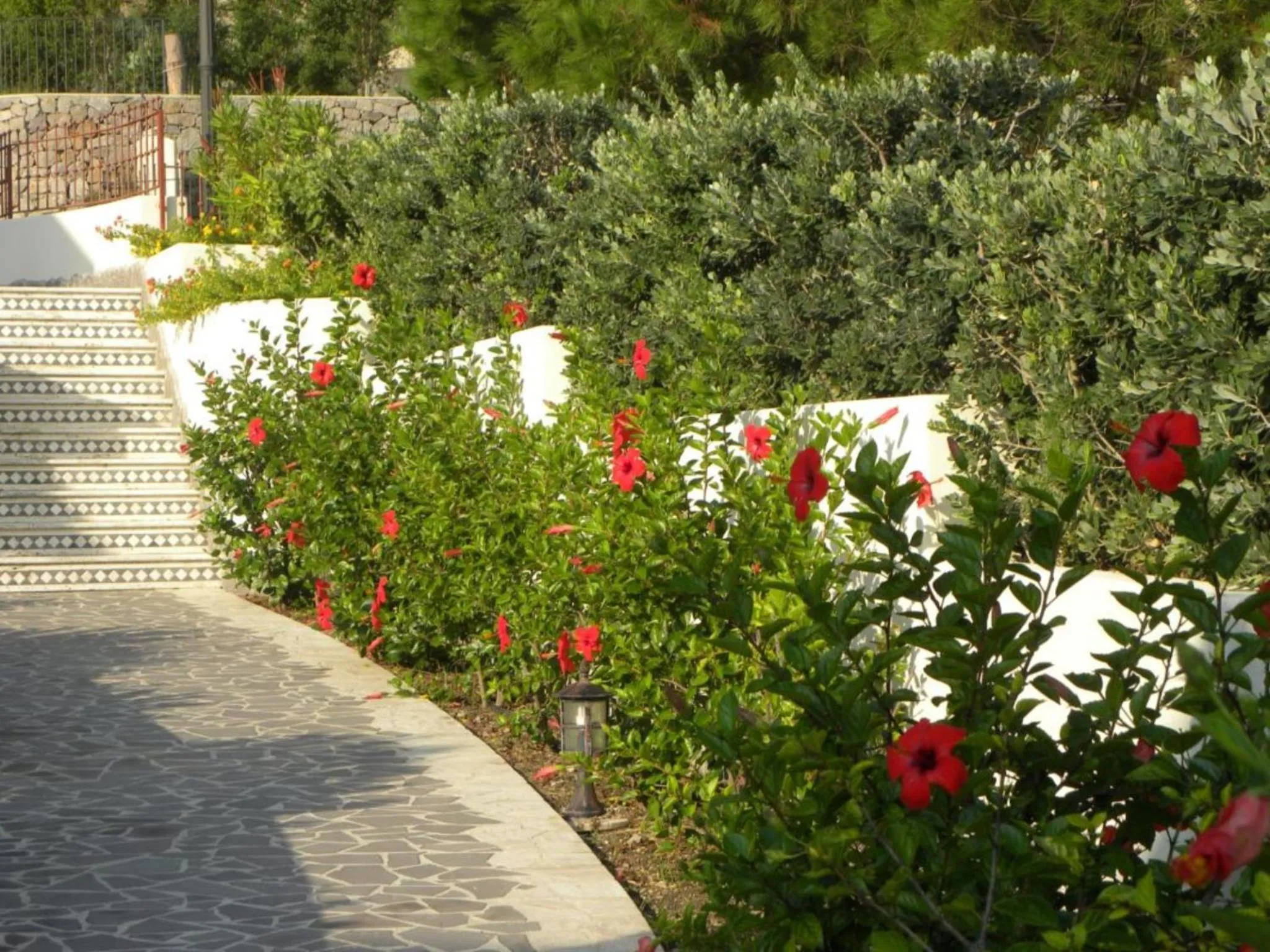 Garden in Hotel Borgo Eolie