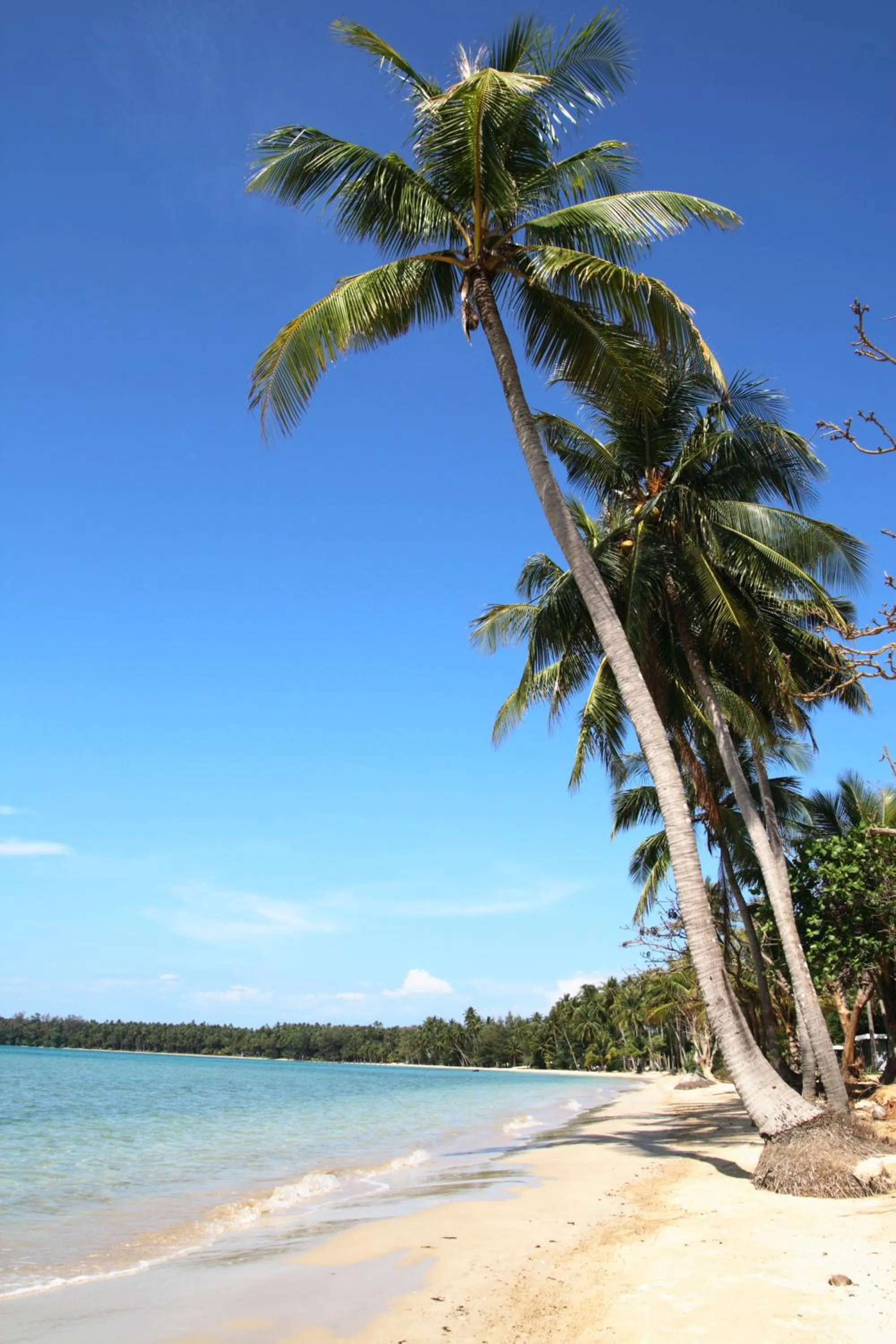 Natural landscape in Koh Mak Resort