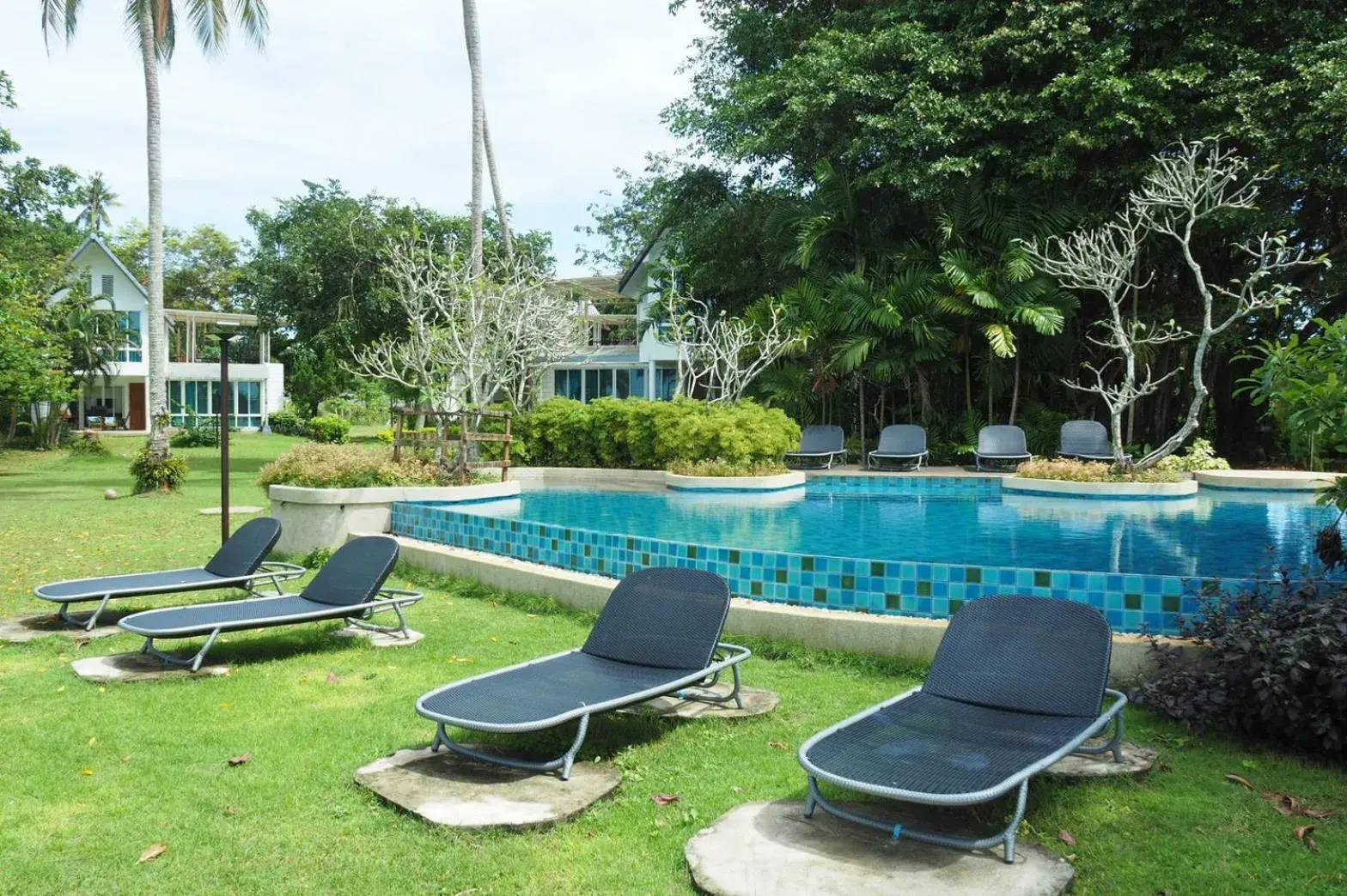 Swimming pool in Koh Mak Resort Swimming pool in Koh Mak Resort