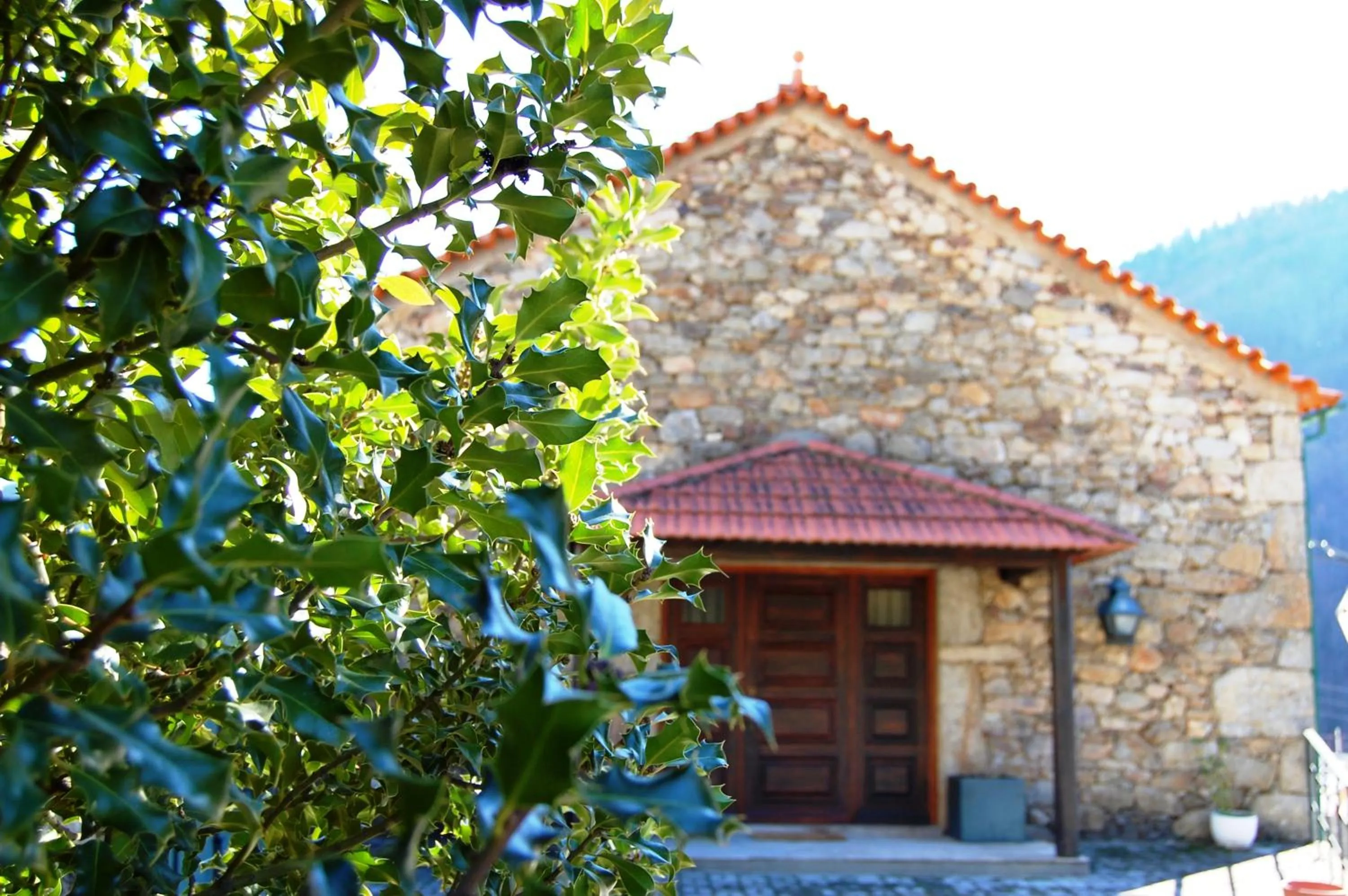 Facade/entrance in Alojamento Santa Clara