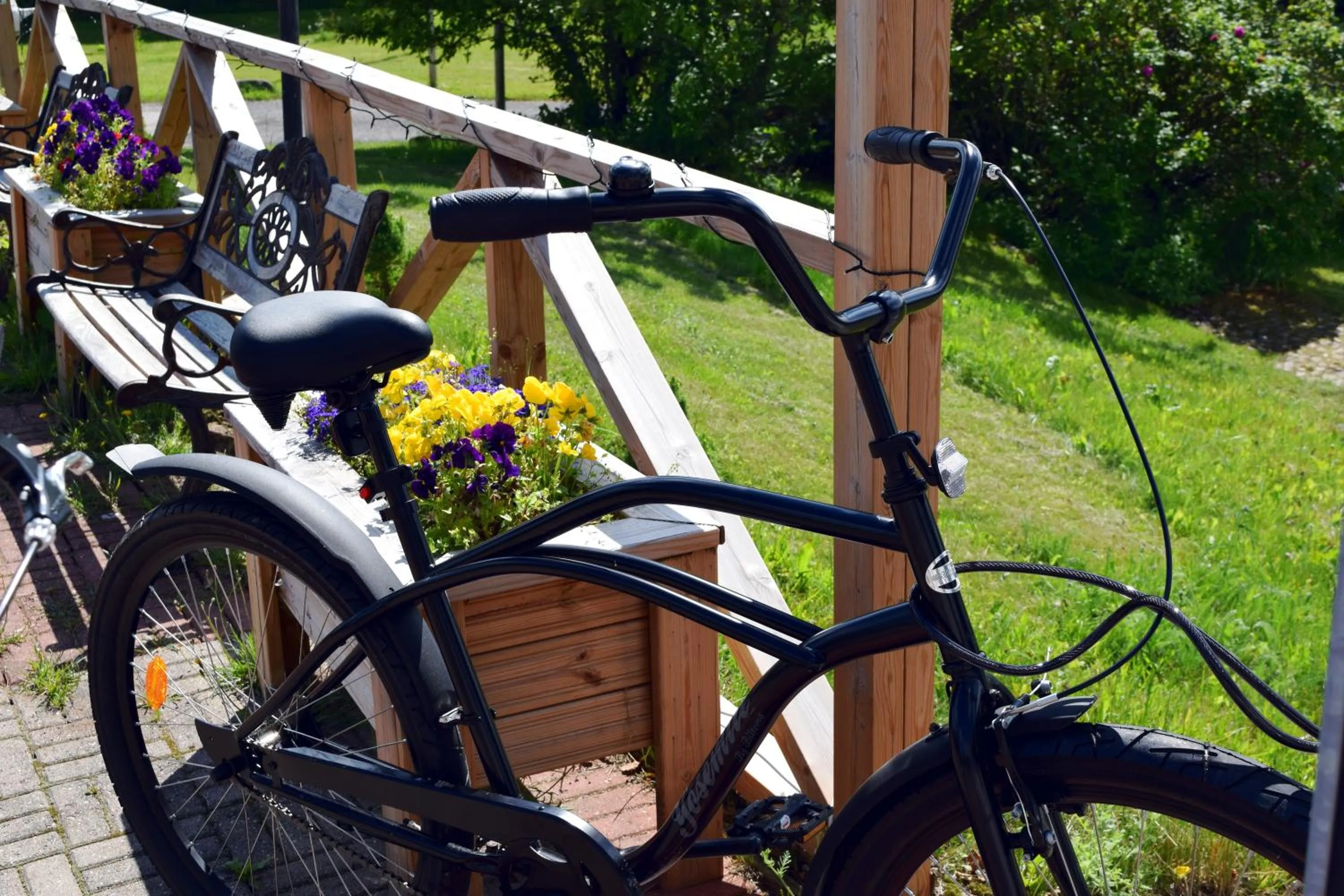 Activities in Hotel Hanhi