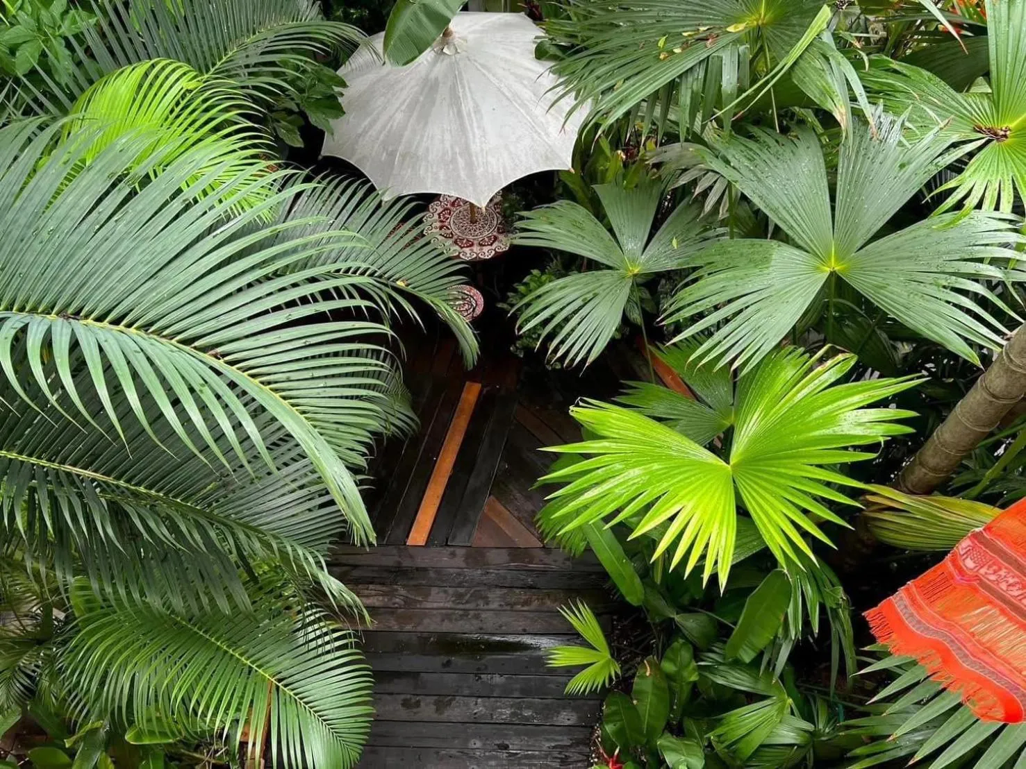 Garden view in The Twenty Lodge