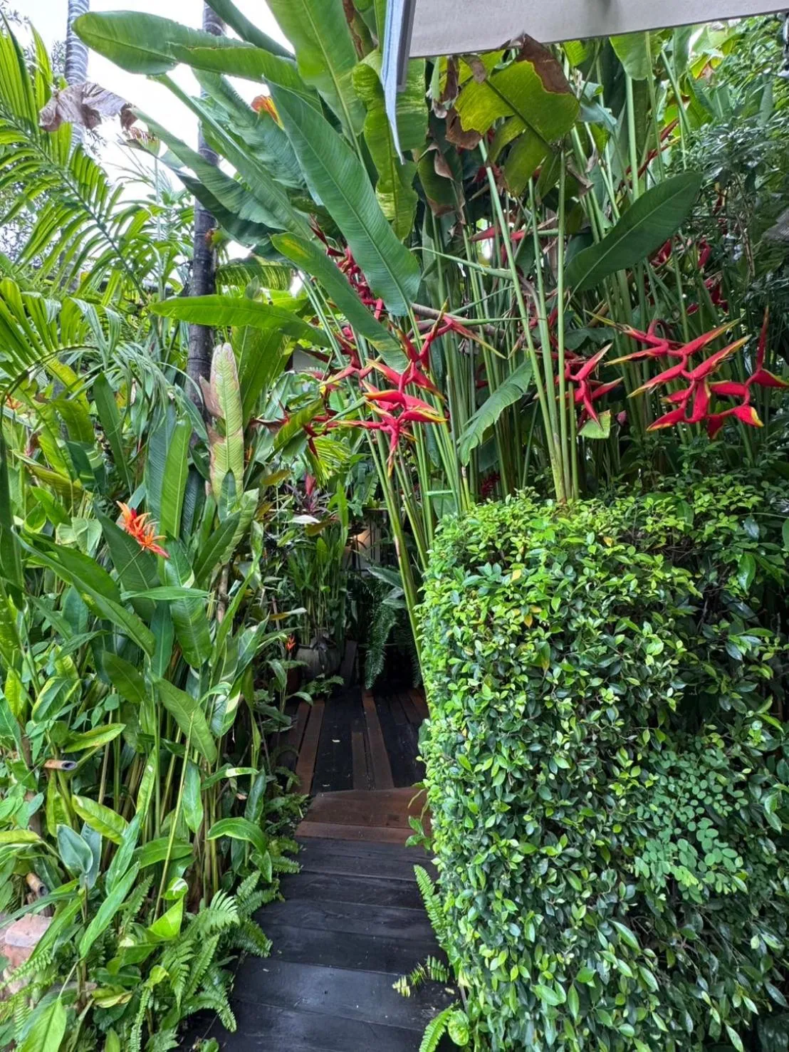 Natural landscape in The Twenty Lodge