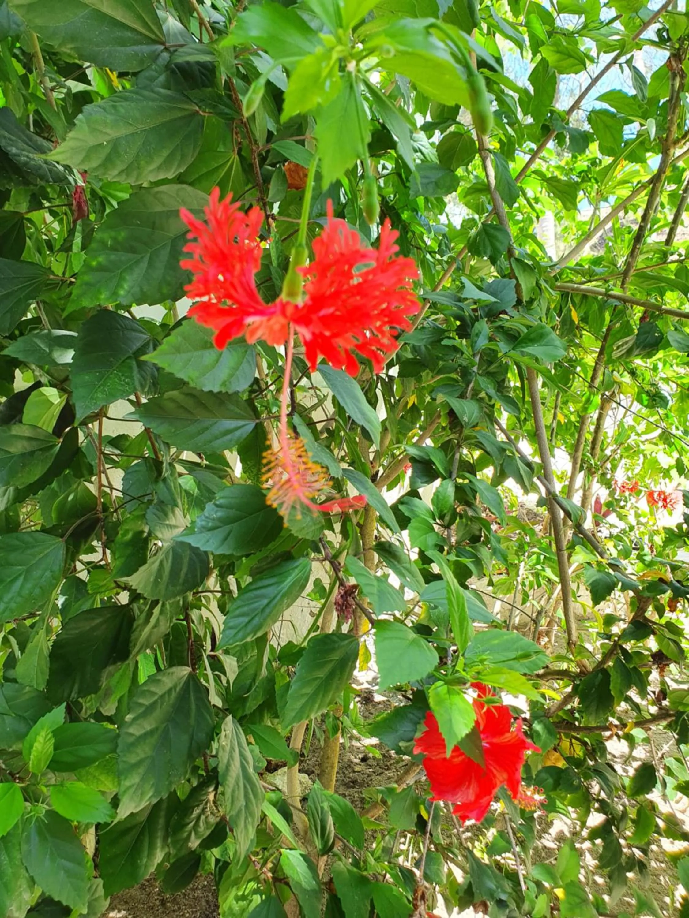 Natural landscape in Blue Palm Zanzibar