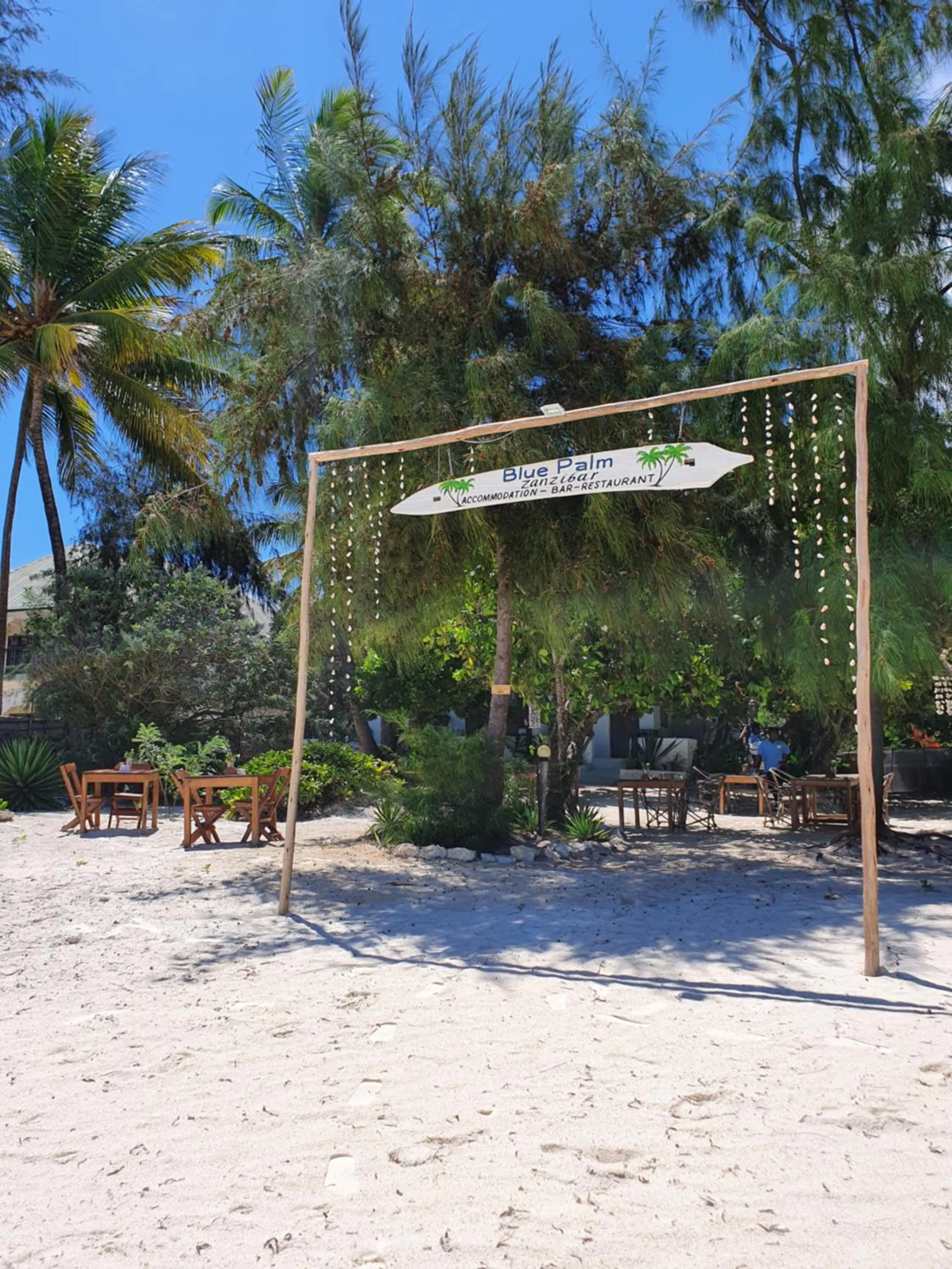 Natural landscape in Blue Palm Zanzibar