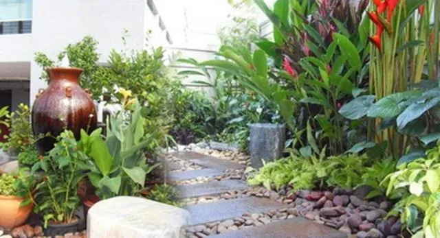 Garden in 24@Home Hotel