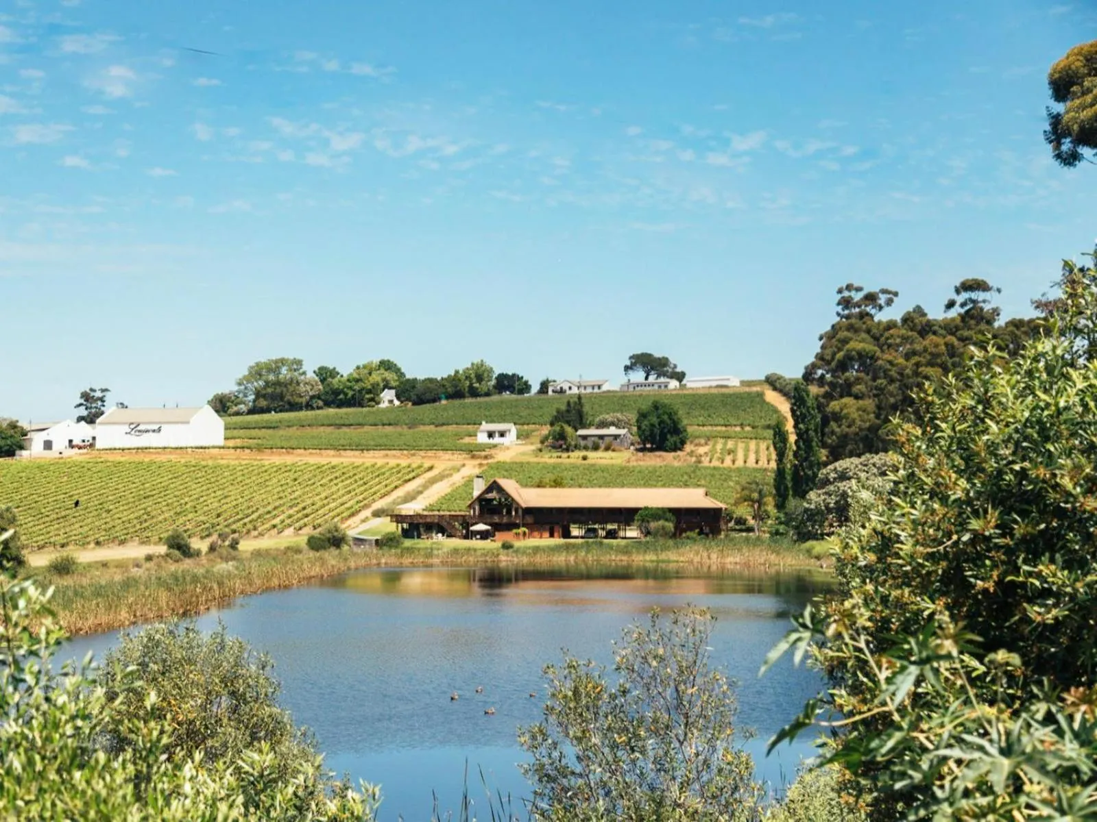 Property building in The Log Collective