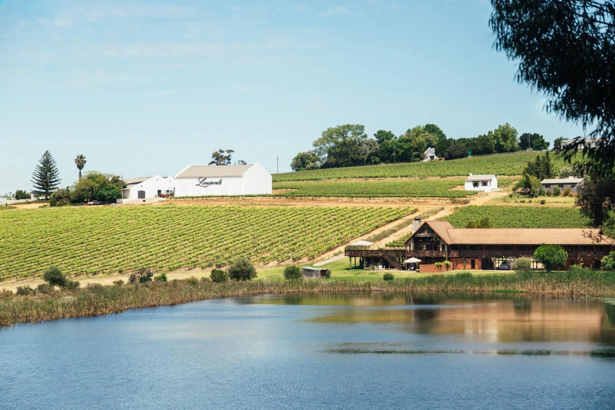 Bird's eye view in The Log Collective