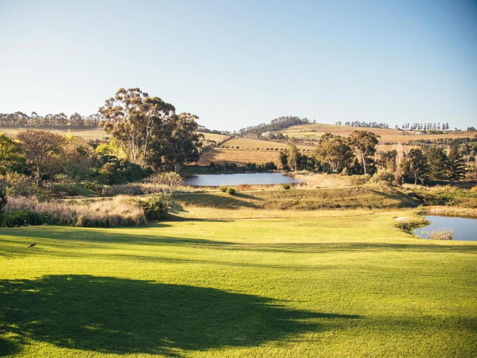 Property building in The Log Collective