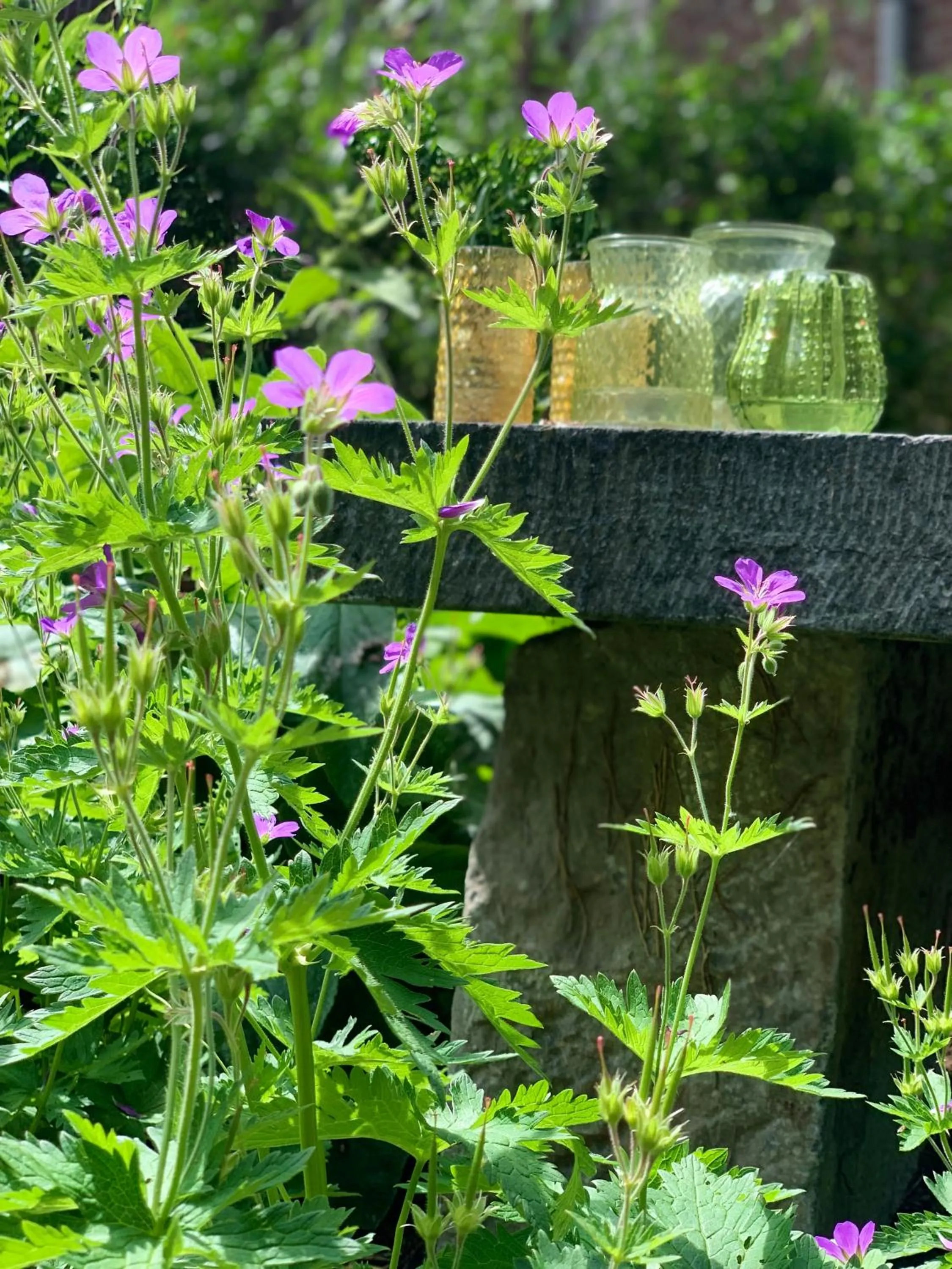 Day in Hotel Au Nom De Dieu