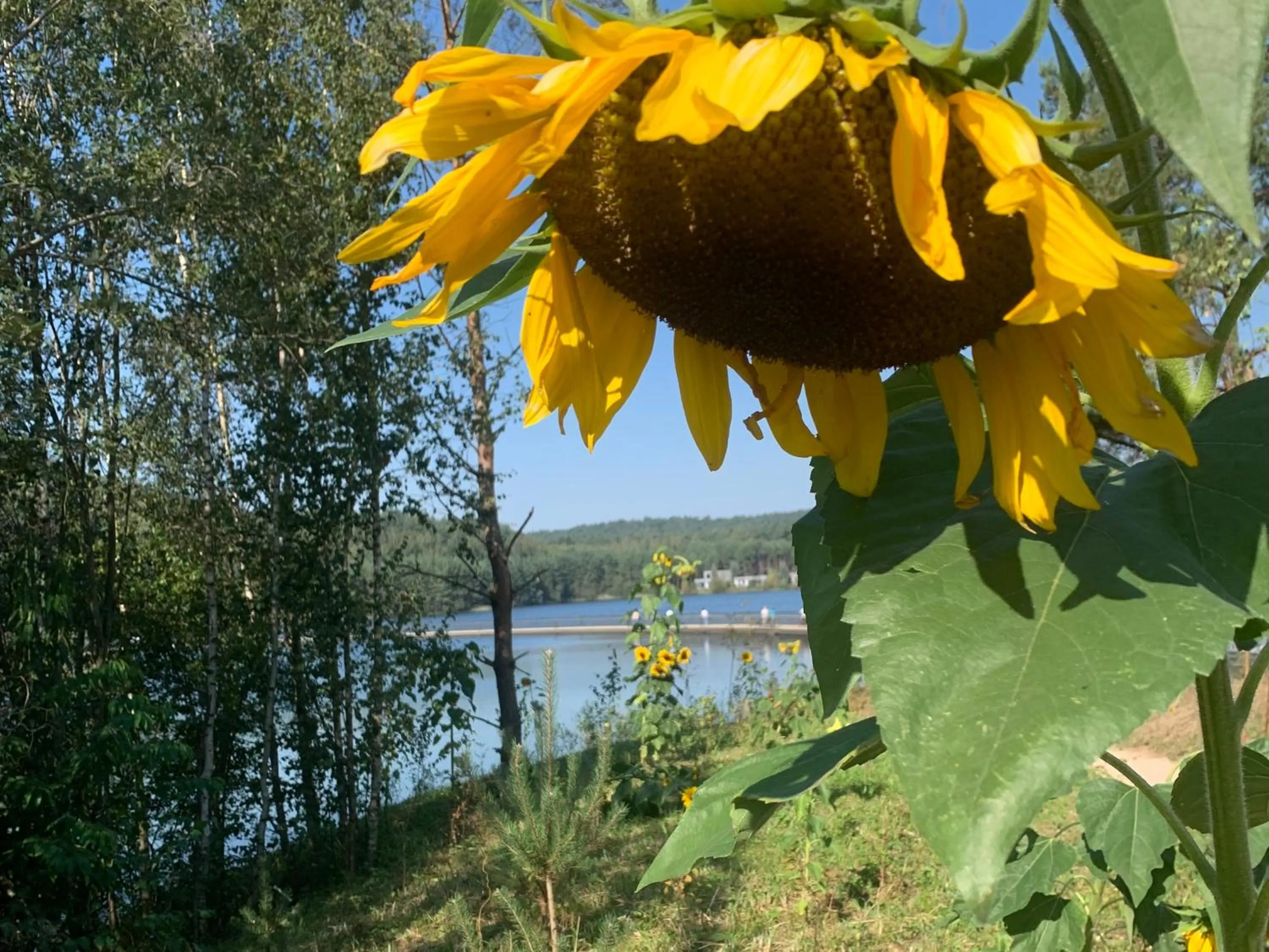 Spring in Hotel Au Nom De Dieu