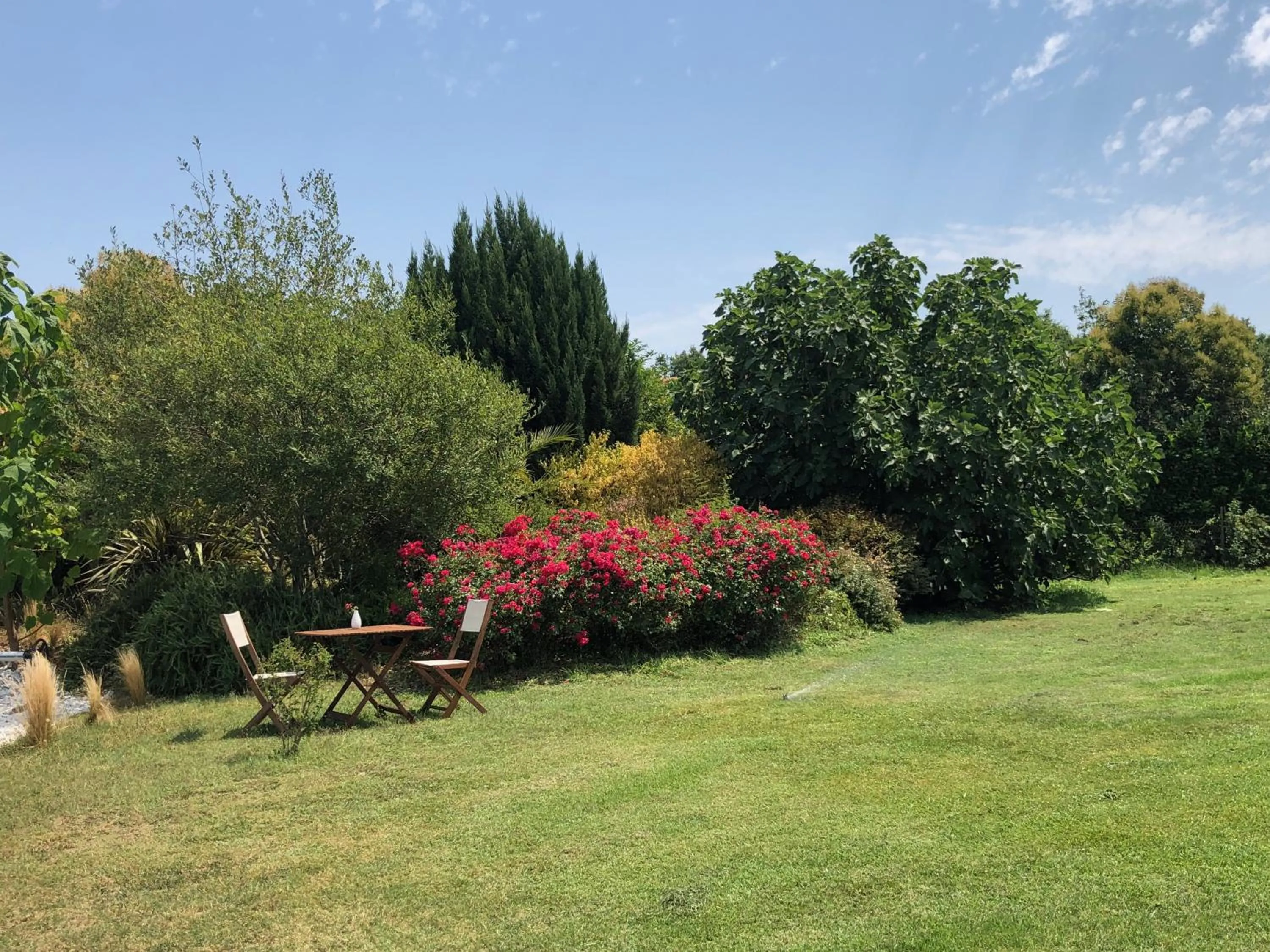 Garden view in Au Bien Venu