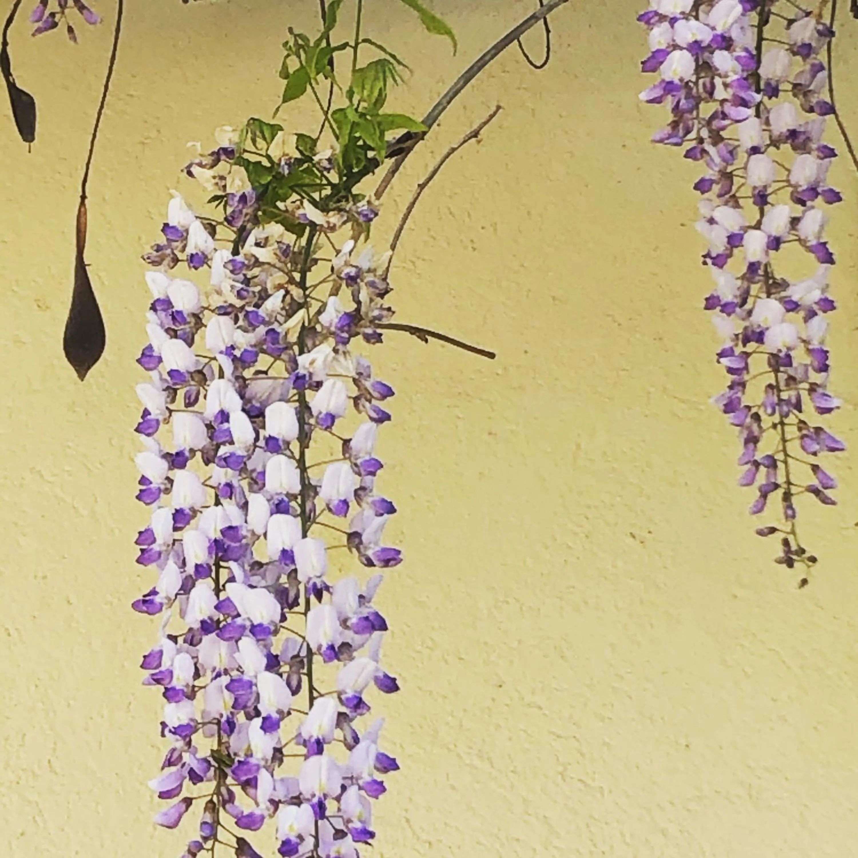 Facade/entrance in Au Bien Venu