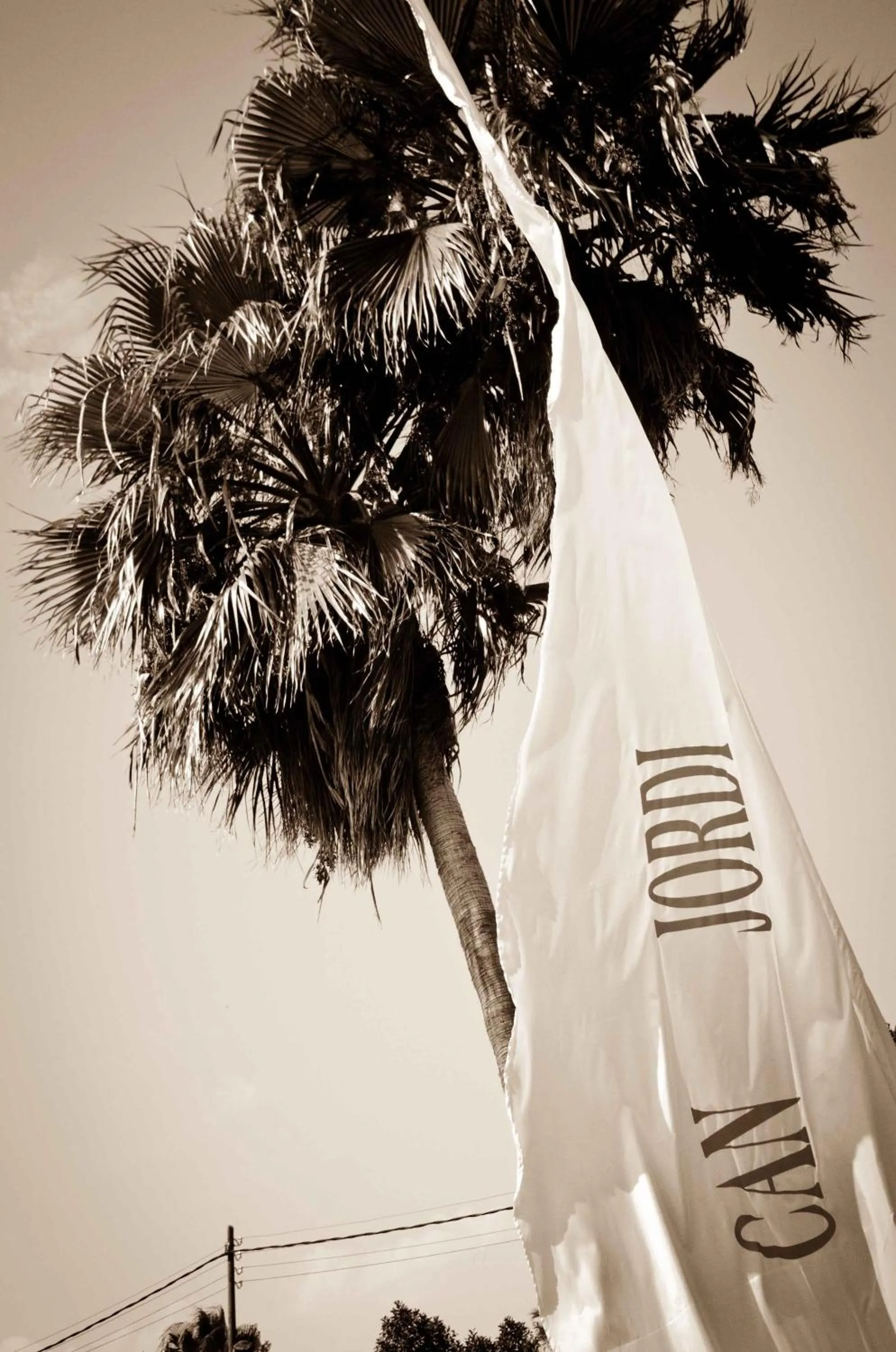 Area and facilities in Hotel Club Can Jordi