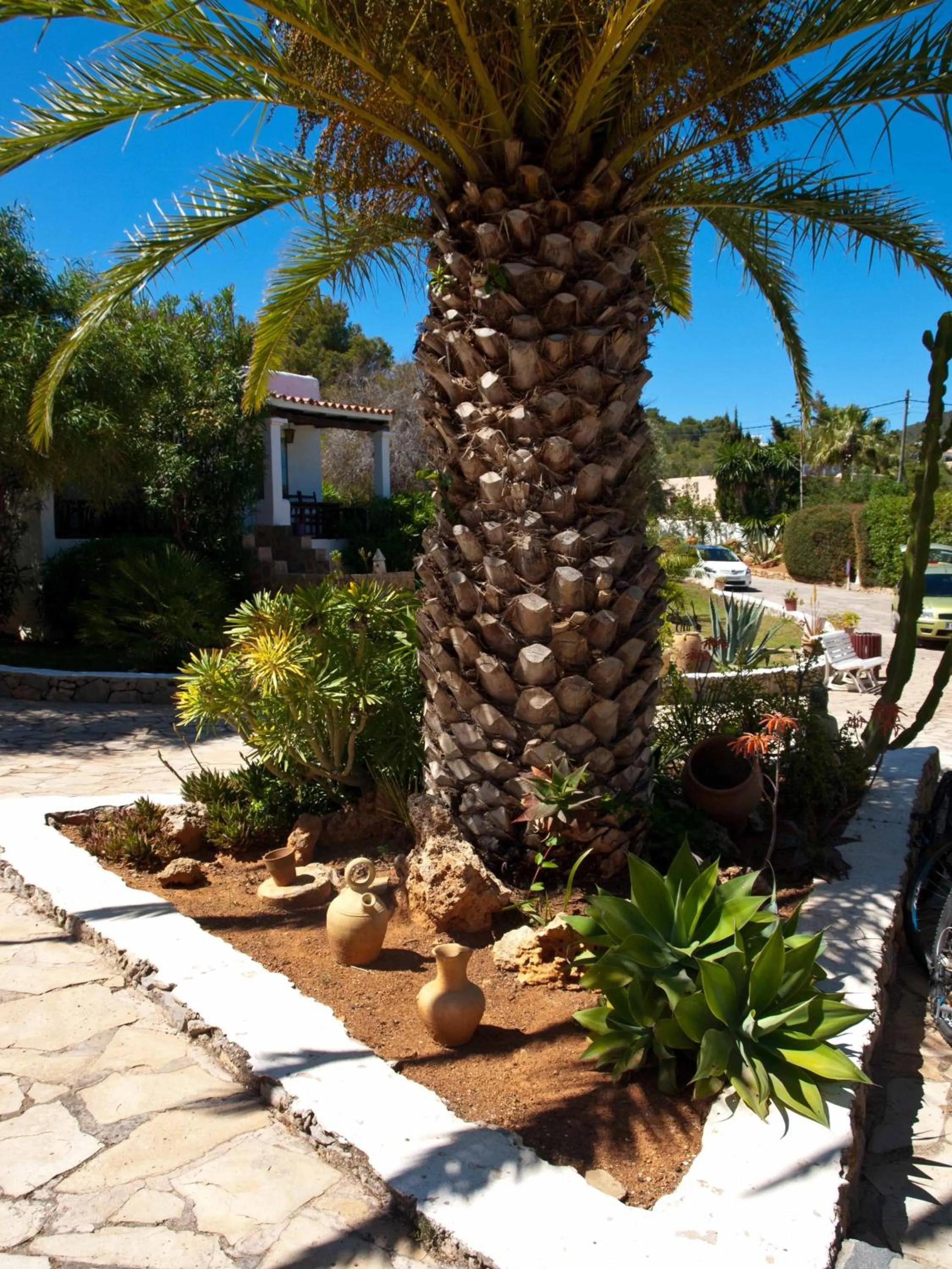 Garden in Hotel Club Can Jordi