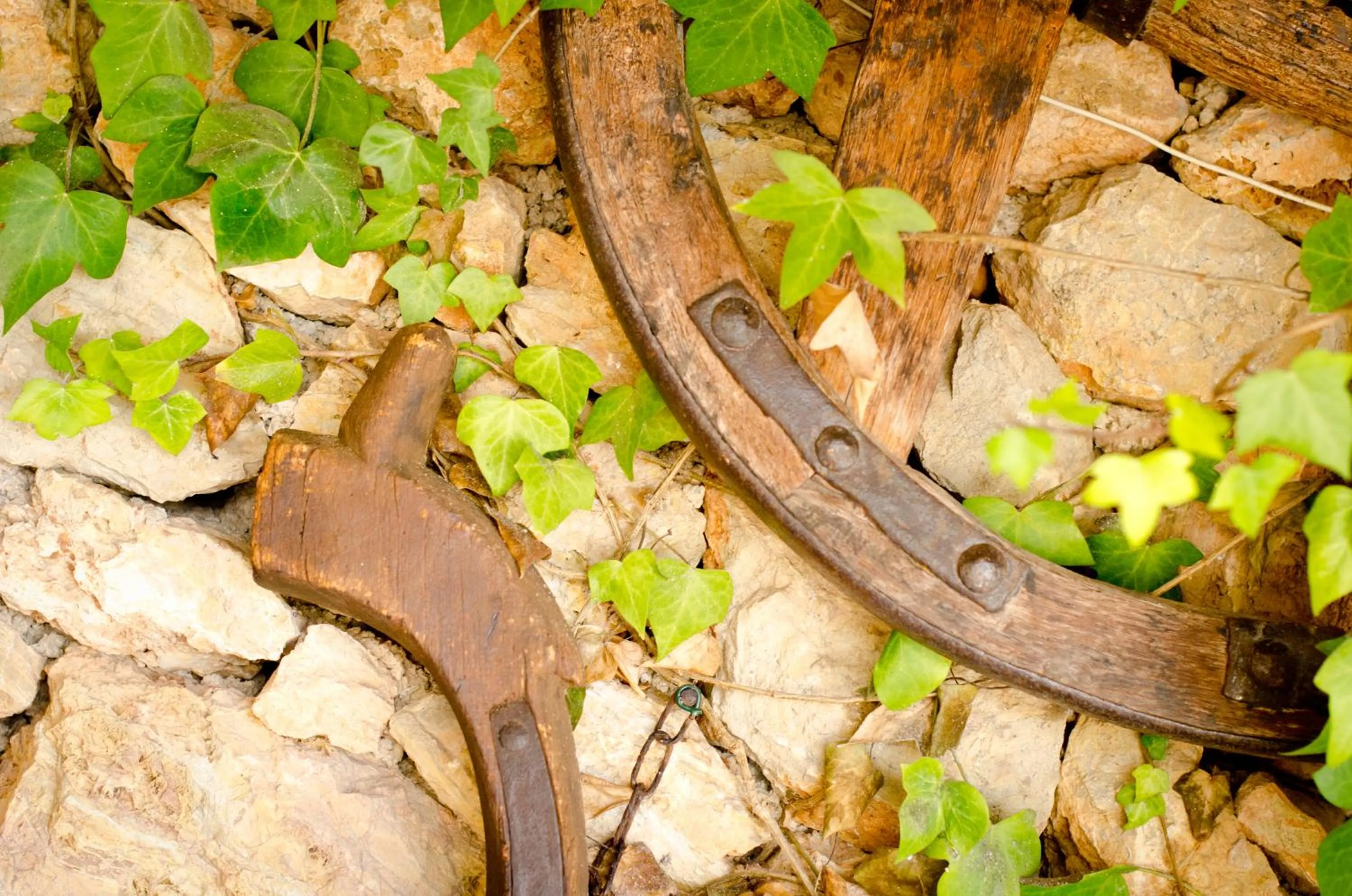 Hotel Club Can Jordi