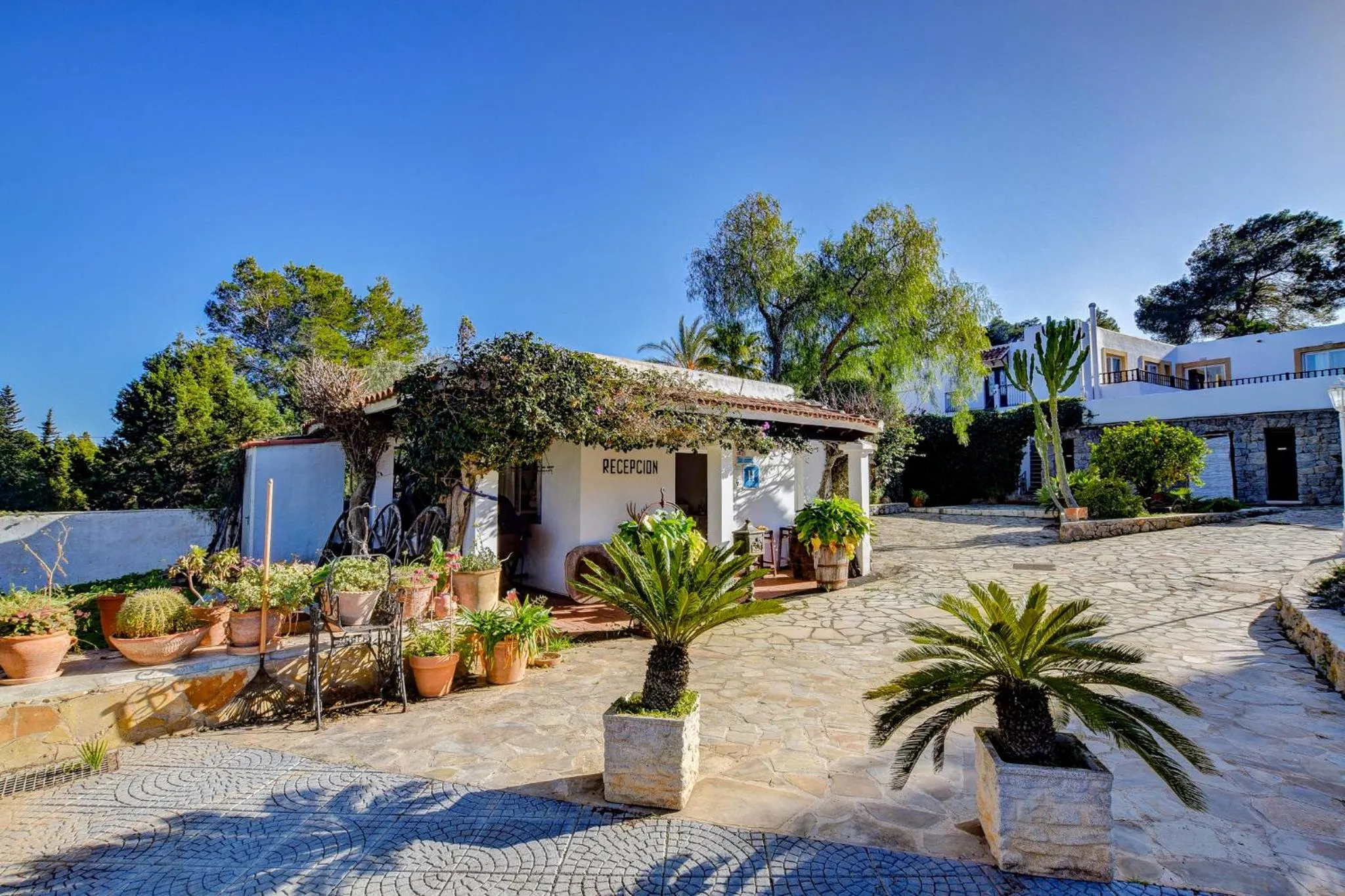 Lobby or reception in Hotel Club Can Jordi