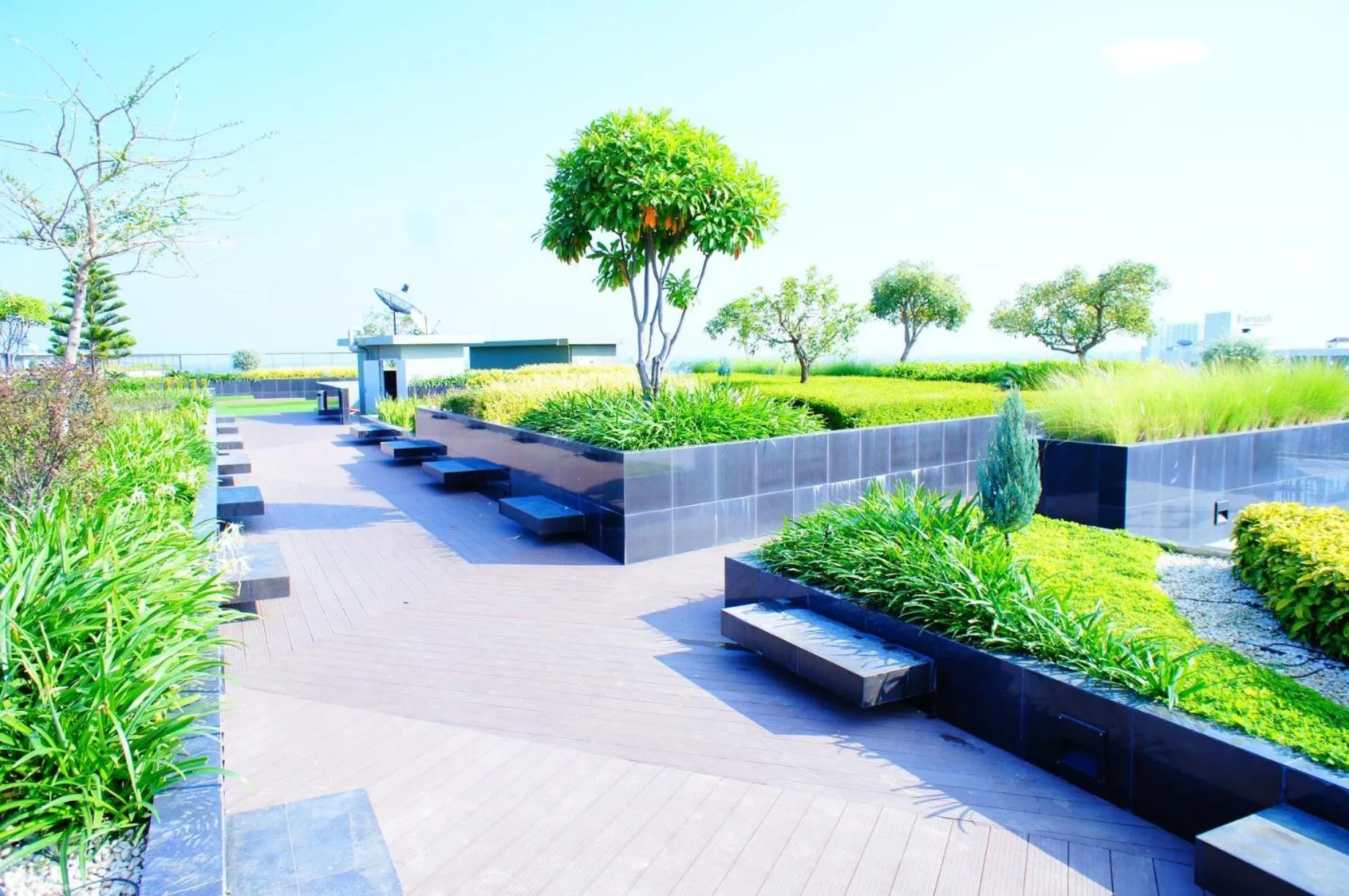 Garden in The Astra Chiang Mai