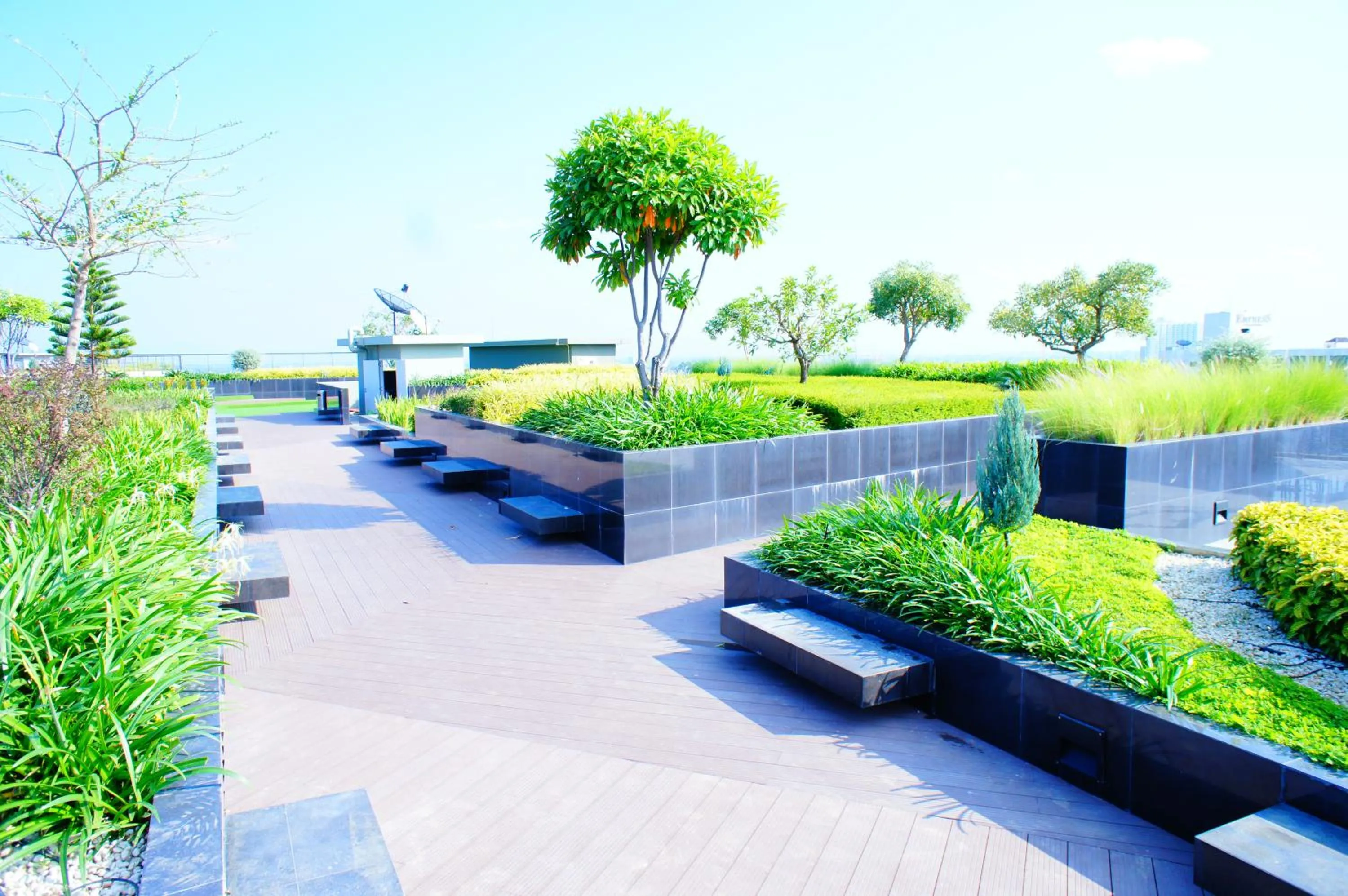 Garden in The Astra Chiang Mai