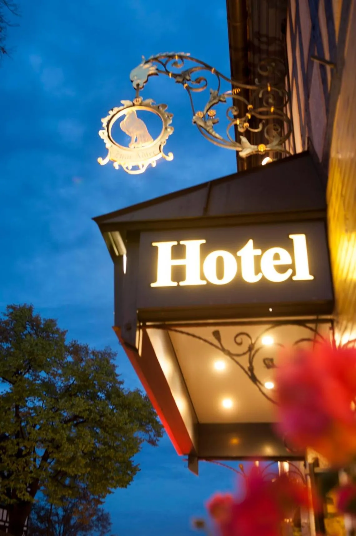 Property building in Hotel Zum Adler