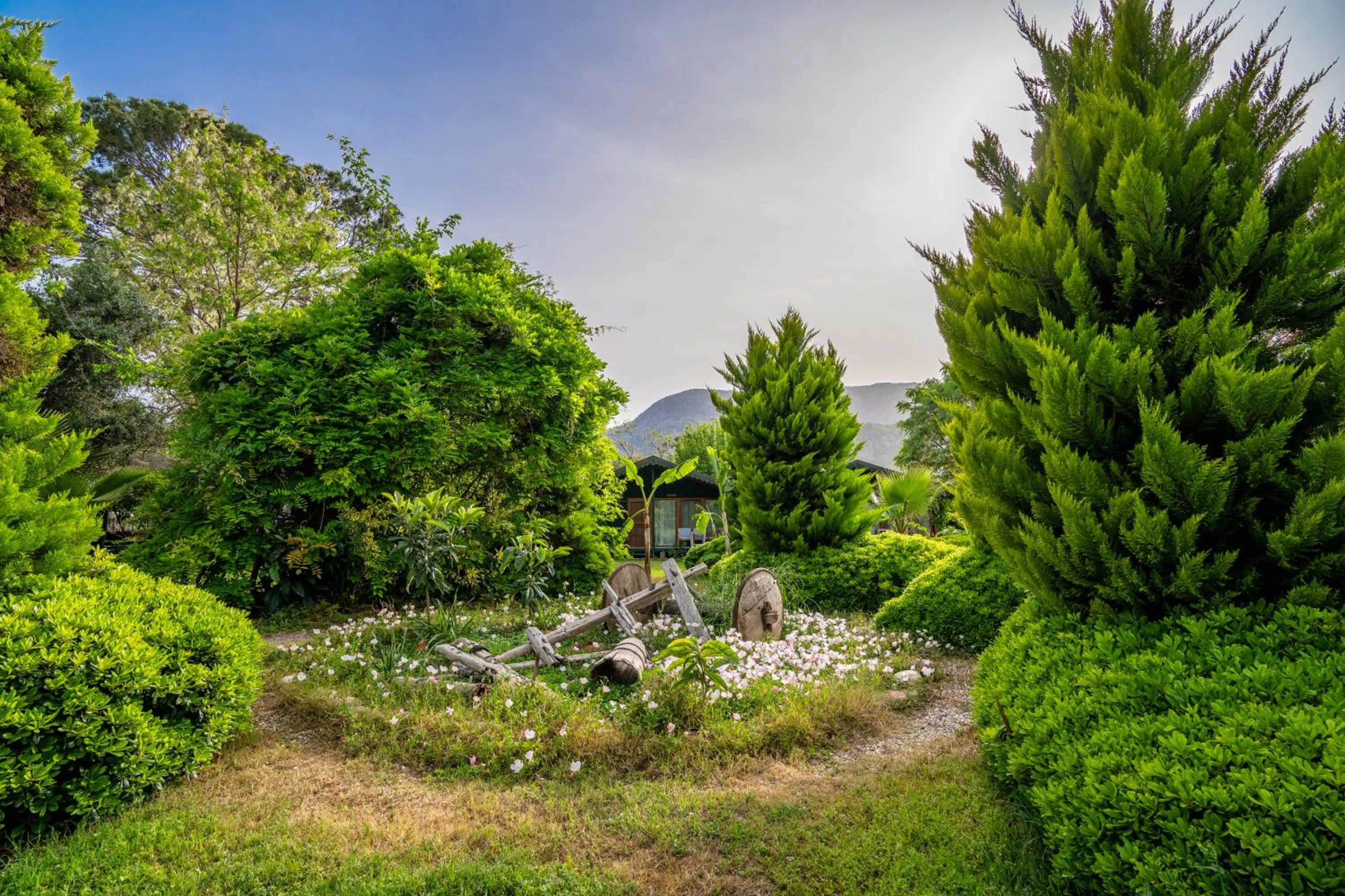 Garden in Etenna Beach Bungalows