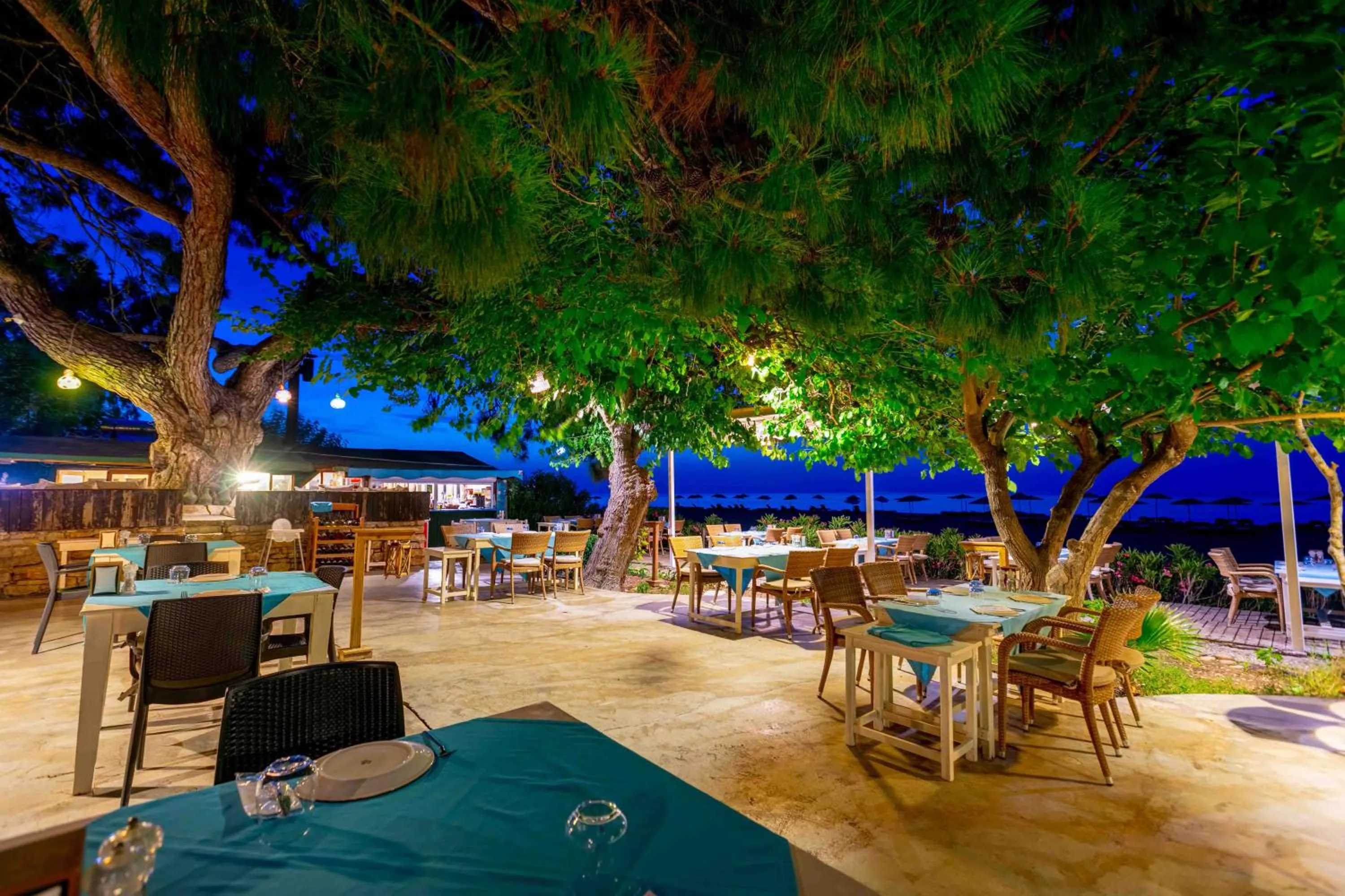 Restaurant/places to eat in Etenna Beach Bungalows