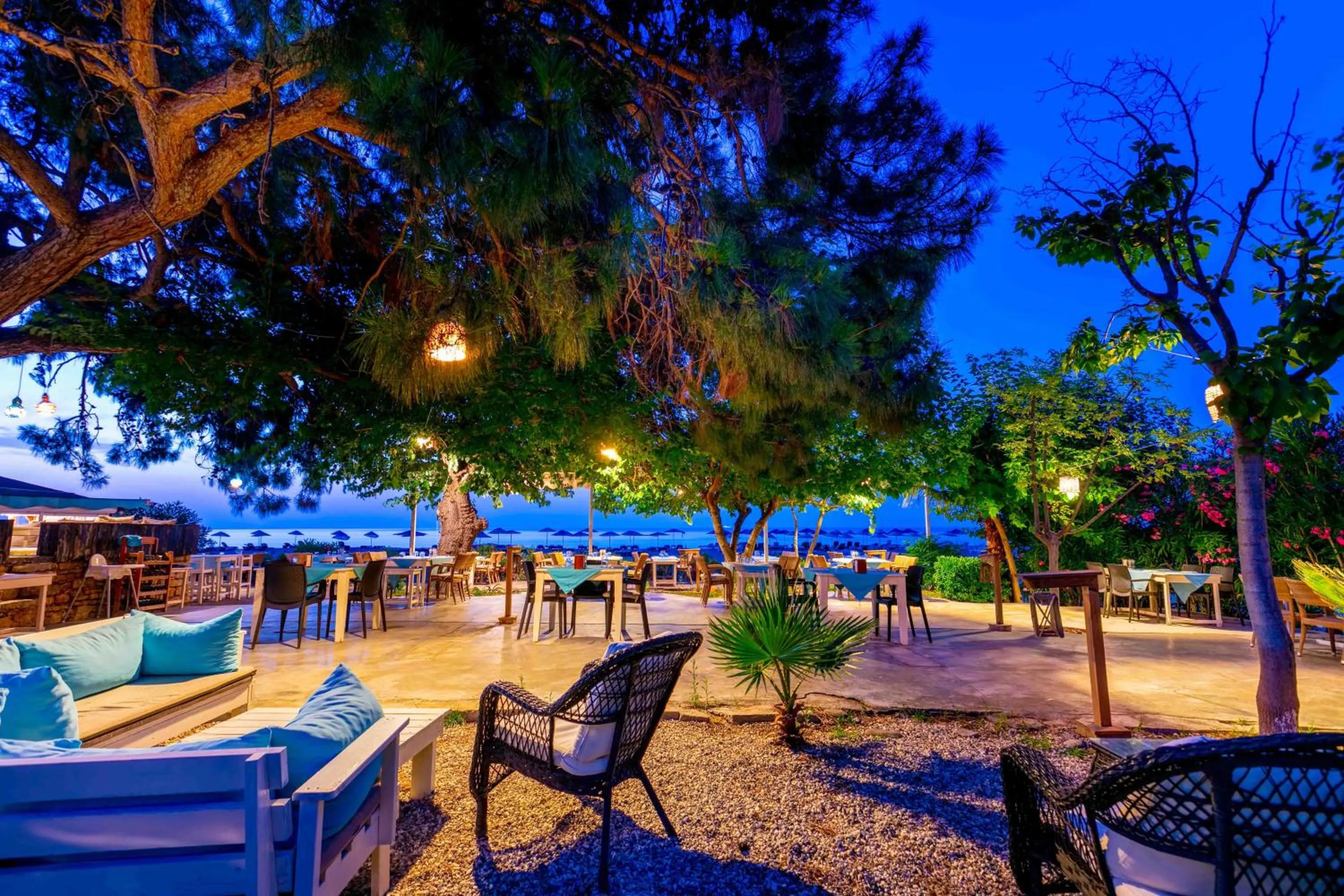 Garden in Etenna Beach Bungalows