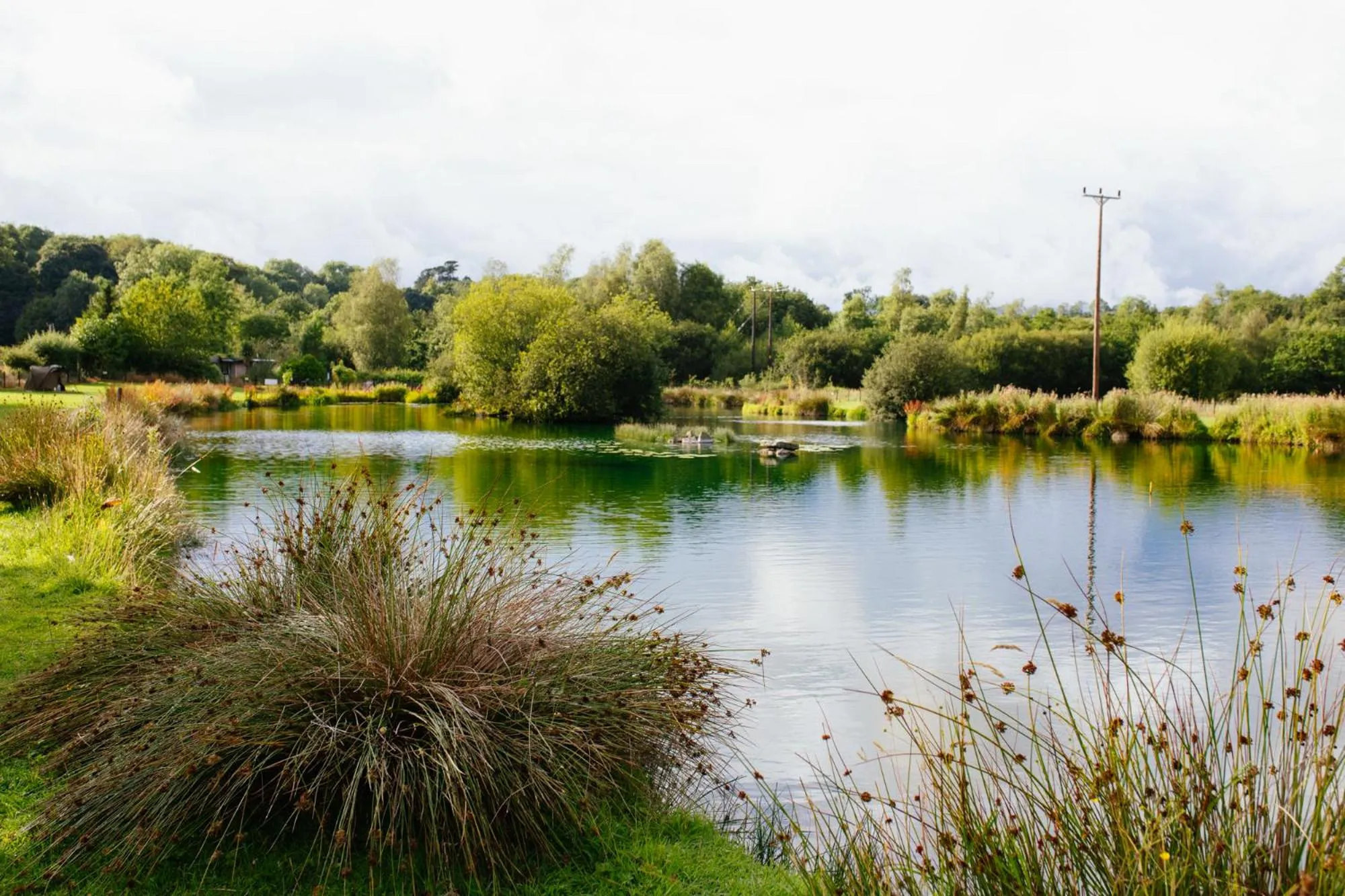 Lake view in Brookhall Cottages