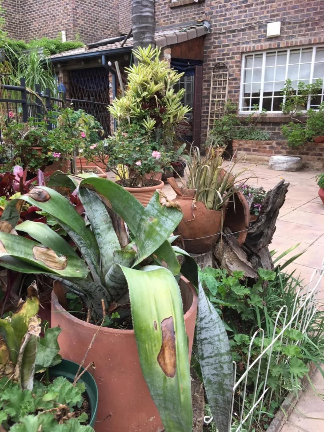 Property building in Sunninghill Sojourn