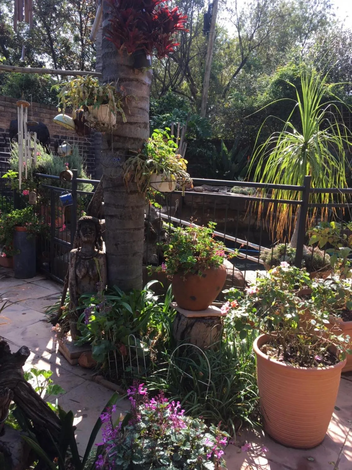 Garden in Sunninghill Sojourn