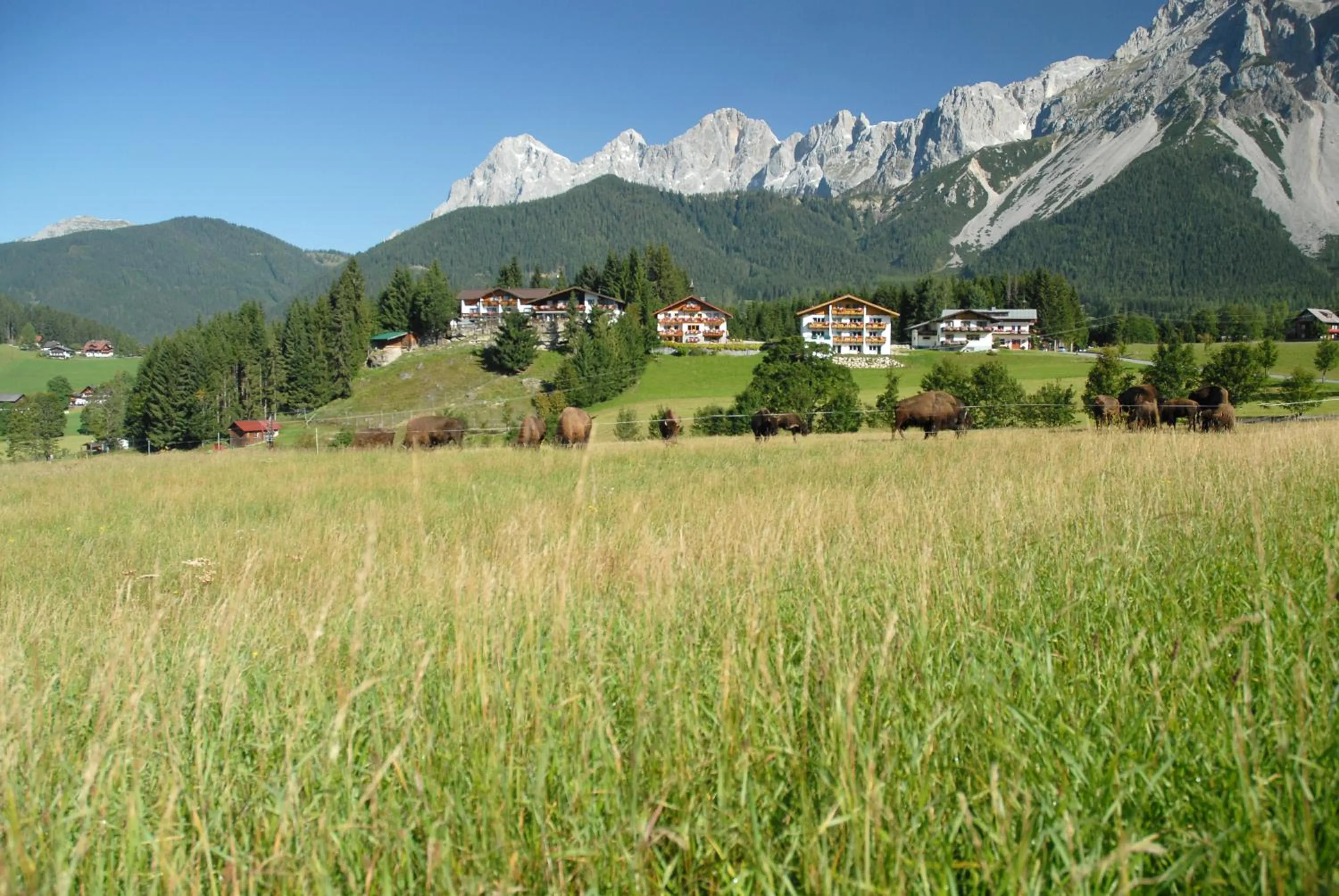 Facade/entrance in Aparthotel Sunrise