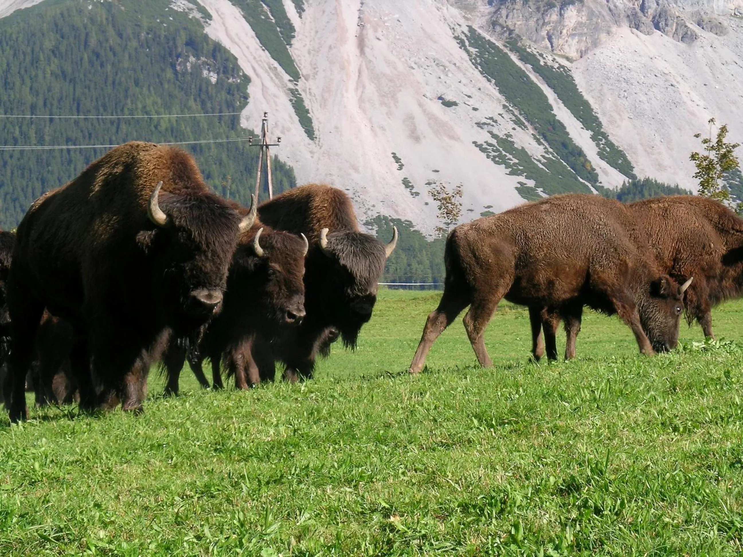 Facade/entrance in Aparthotel Sunrise