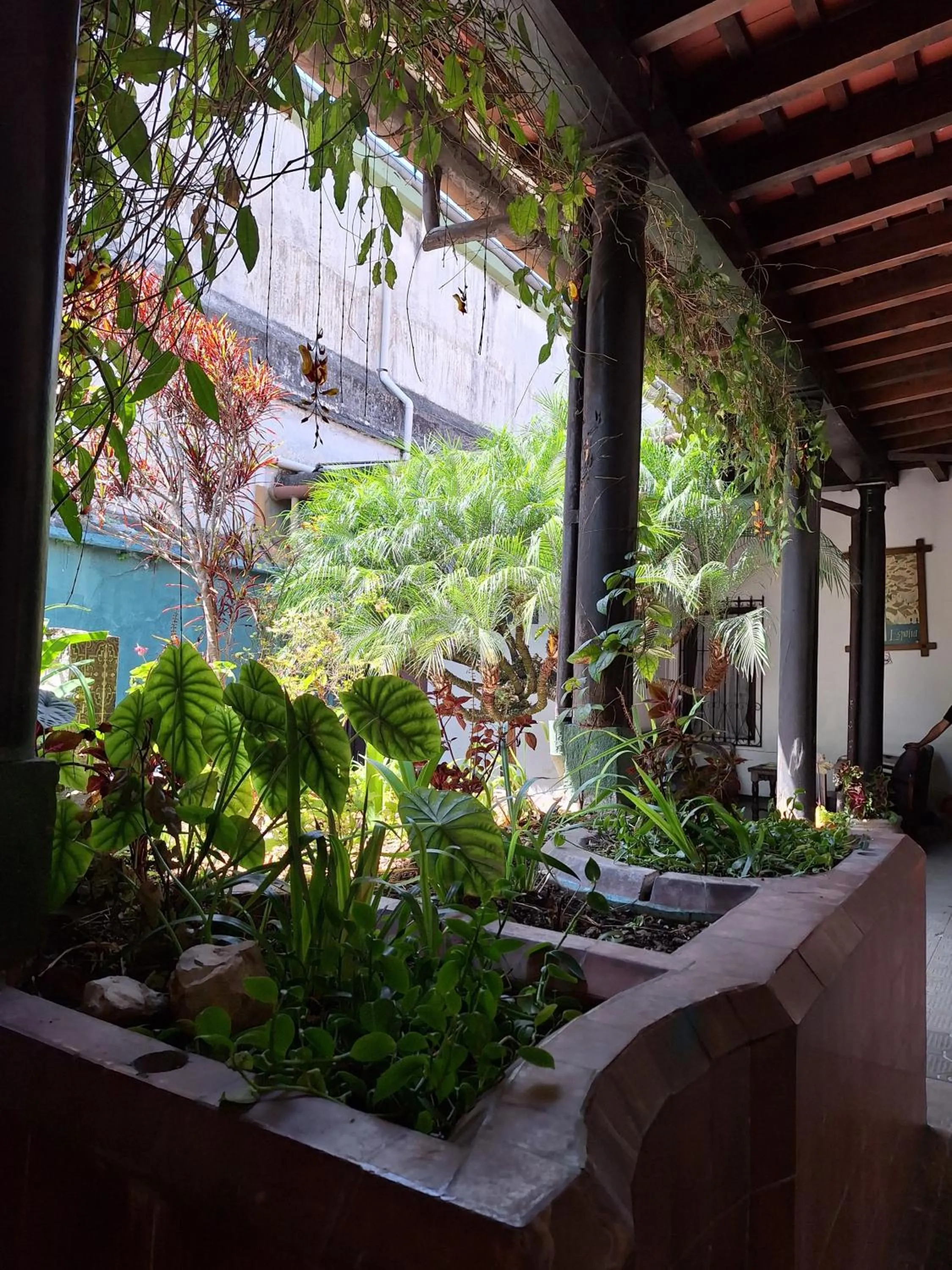 Garden in Hotel Spring