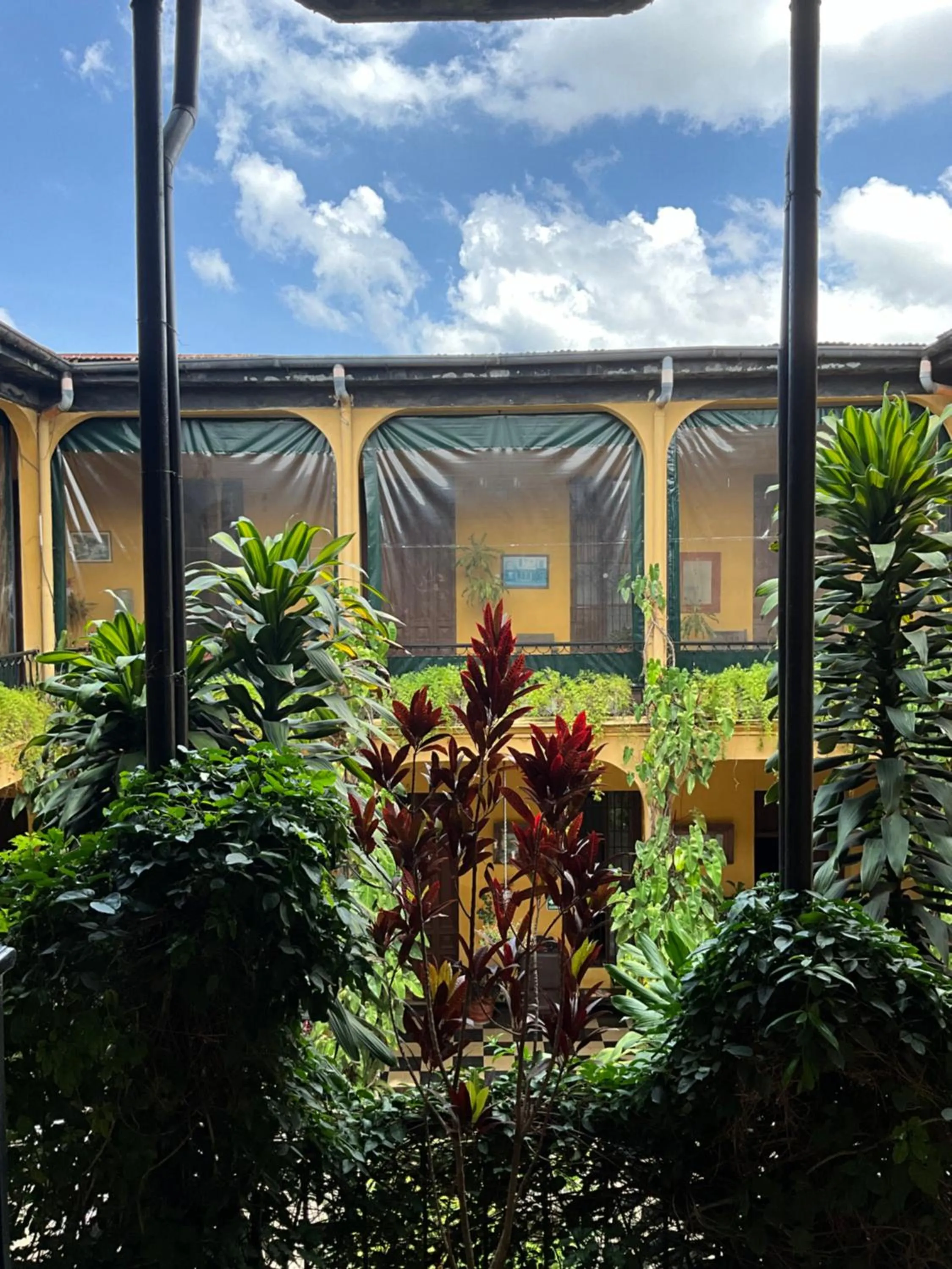 Garden in Hotel Spring